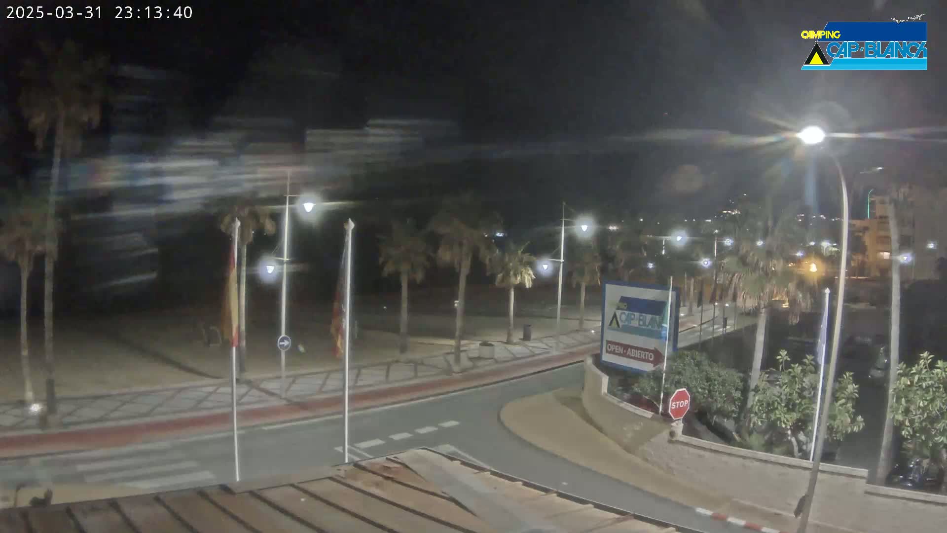 A nighttime view of a palm-tree lined road curving toward a beach under a clear, dark sky.