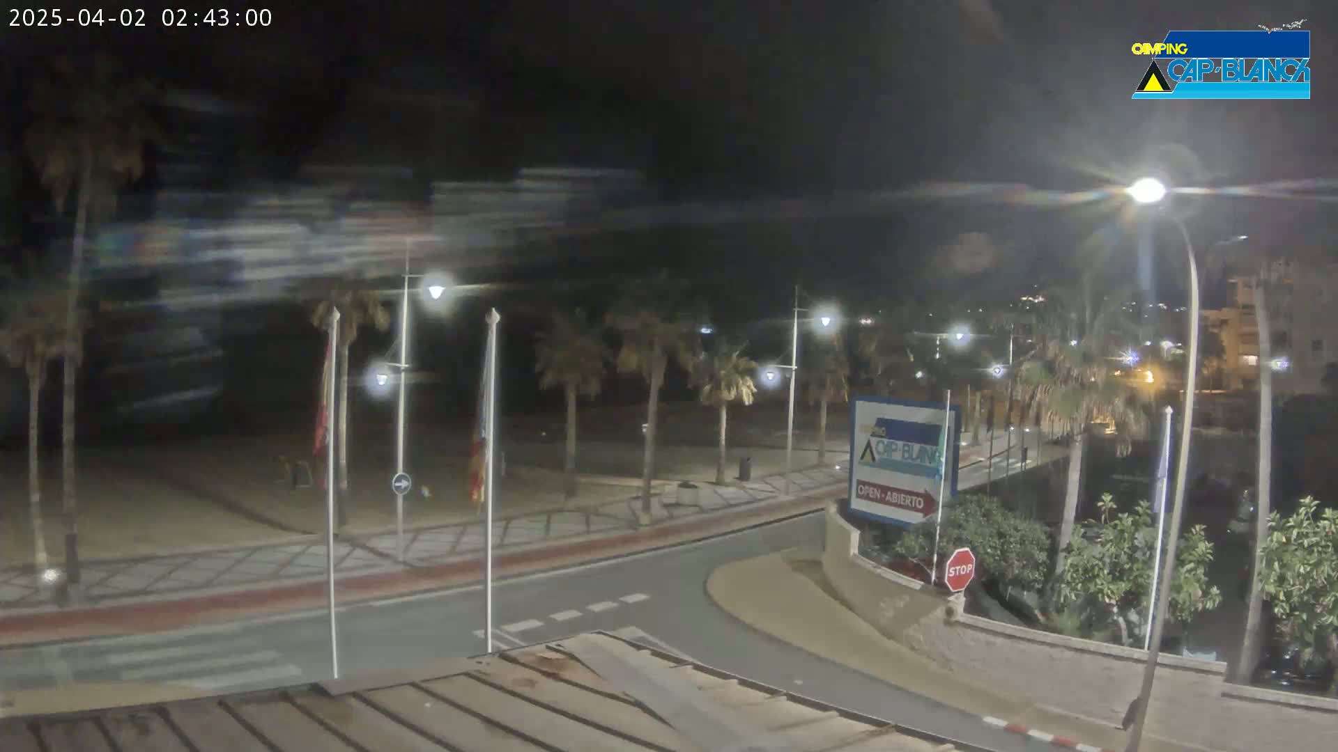A nighttime view of a palm tree-lined road curving near a beach, with streetlights illuminating the scene under a dark sky.