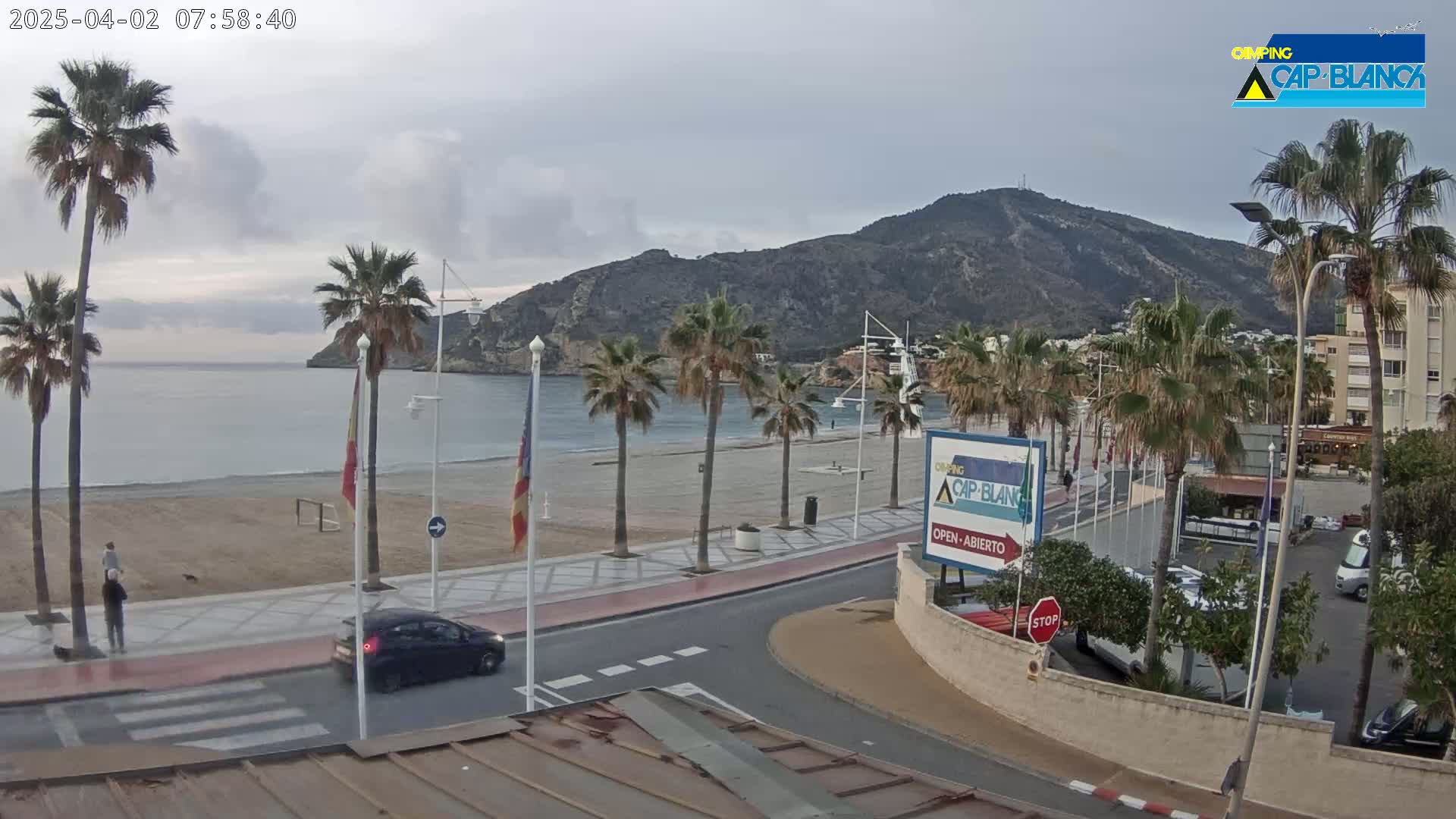 A seaside town under an overcast sky features a sandy beach, palm trees lining a paved walkway next to a calm sea with a mountain in the background, and several cars parked in a nearby lot.