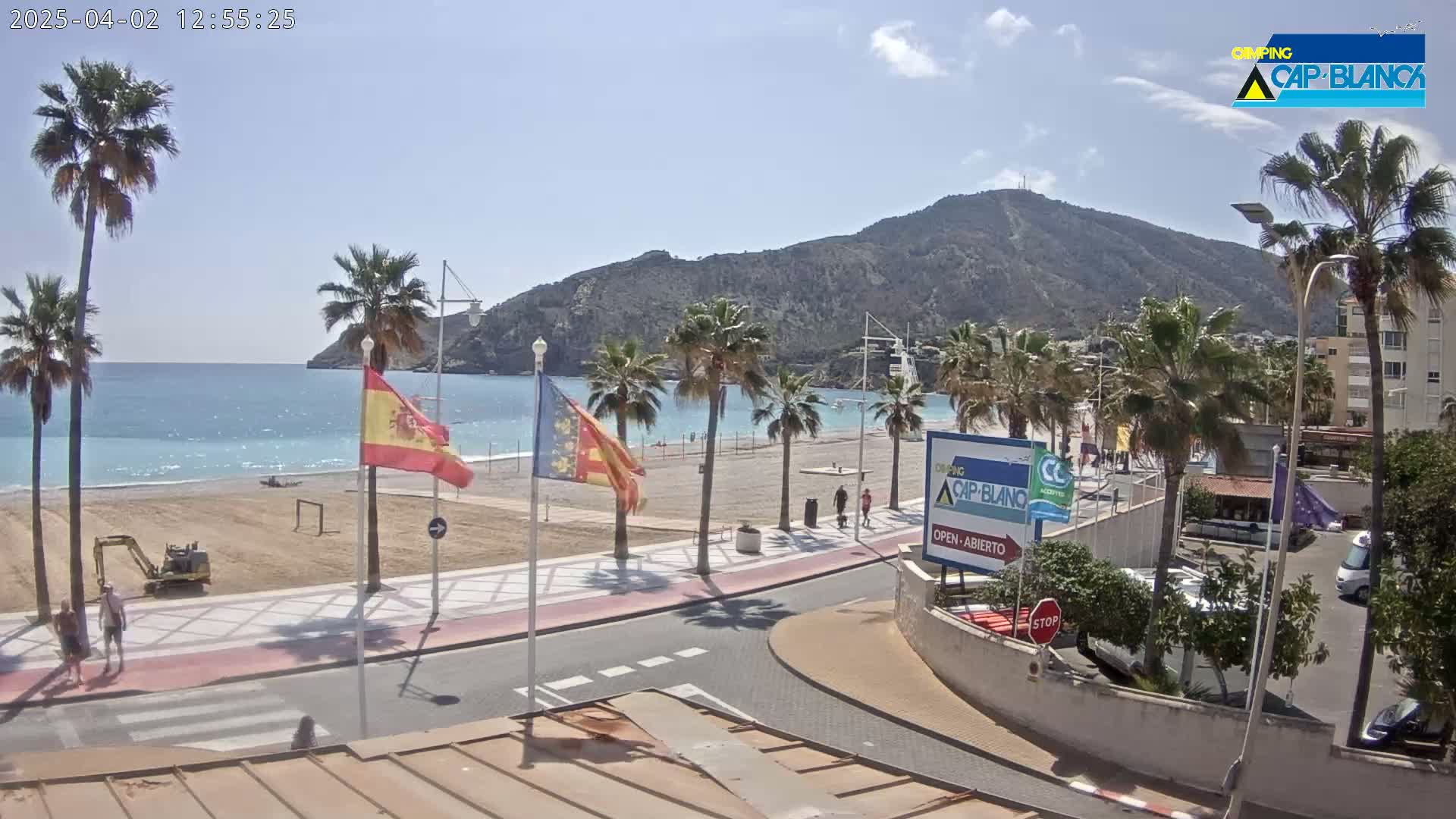 A sandy beach with palm trees lines a paved walkway next to a calm blue ocean, backed by a large mountain under a clear sky.