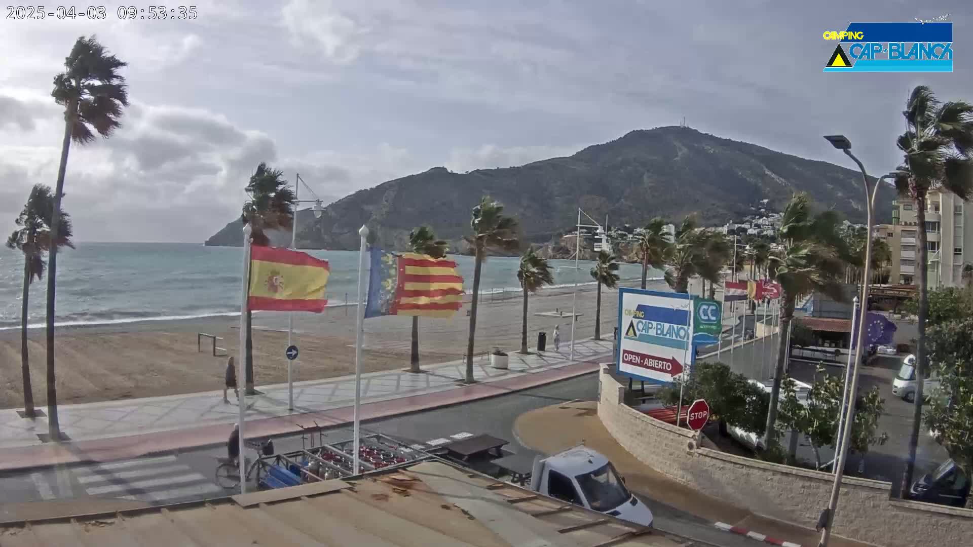 A windy beach scene shows palm trees bending in the breeze, a sandy beach, and calm ocean waves lapping the shore, all set against the backdrop of a mountain.