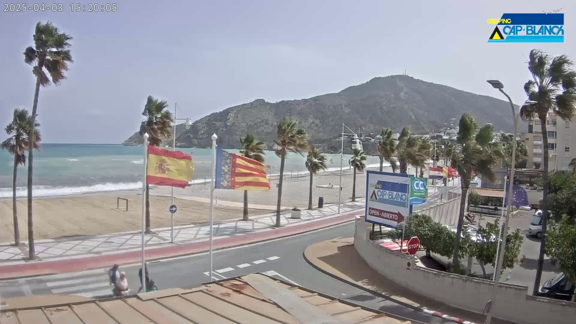 A windy day at a beachside town features palm trees bending in the breeze, a sandy beach with a few people walking along the shore, and a mountain rising in the background.