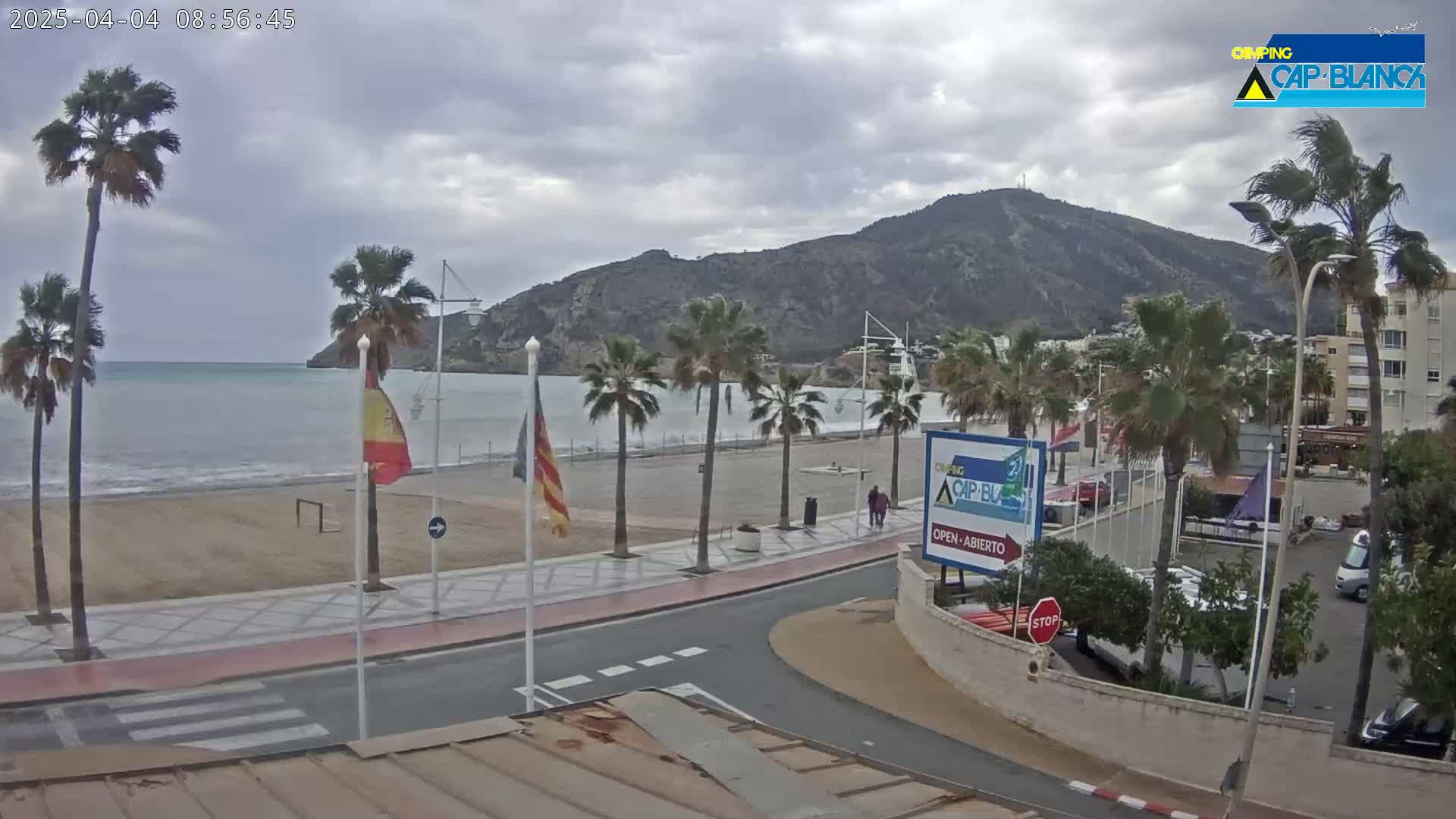 A partly cloudy day shows a beach with palm trees lining a paved walkway next to a calm sea and a mountain in the background.