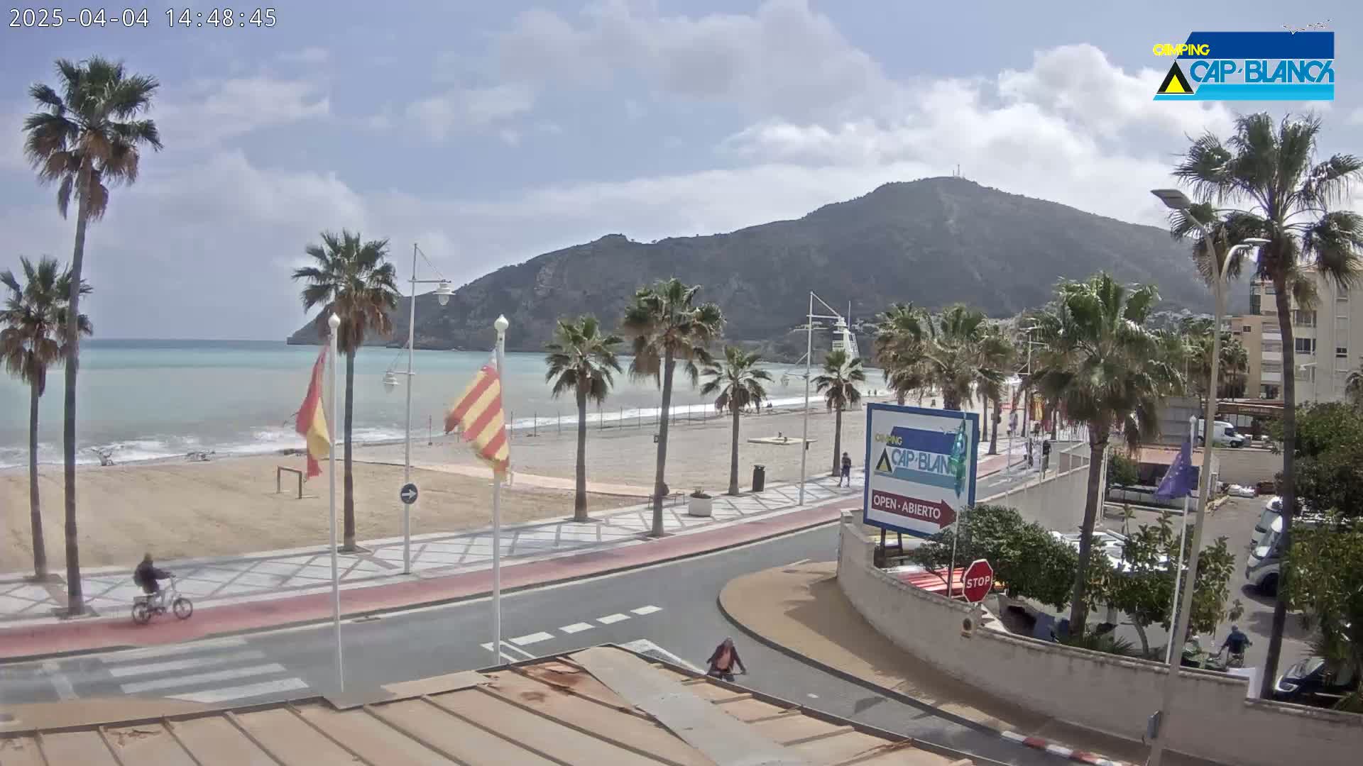A partly cloudy day shows a beach scene with palm trees, a calm sea, a promenade, and a mountain in the background.