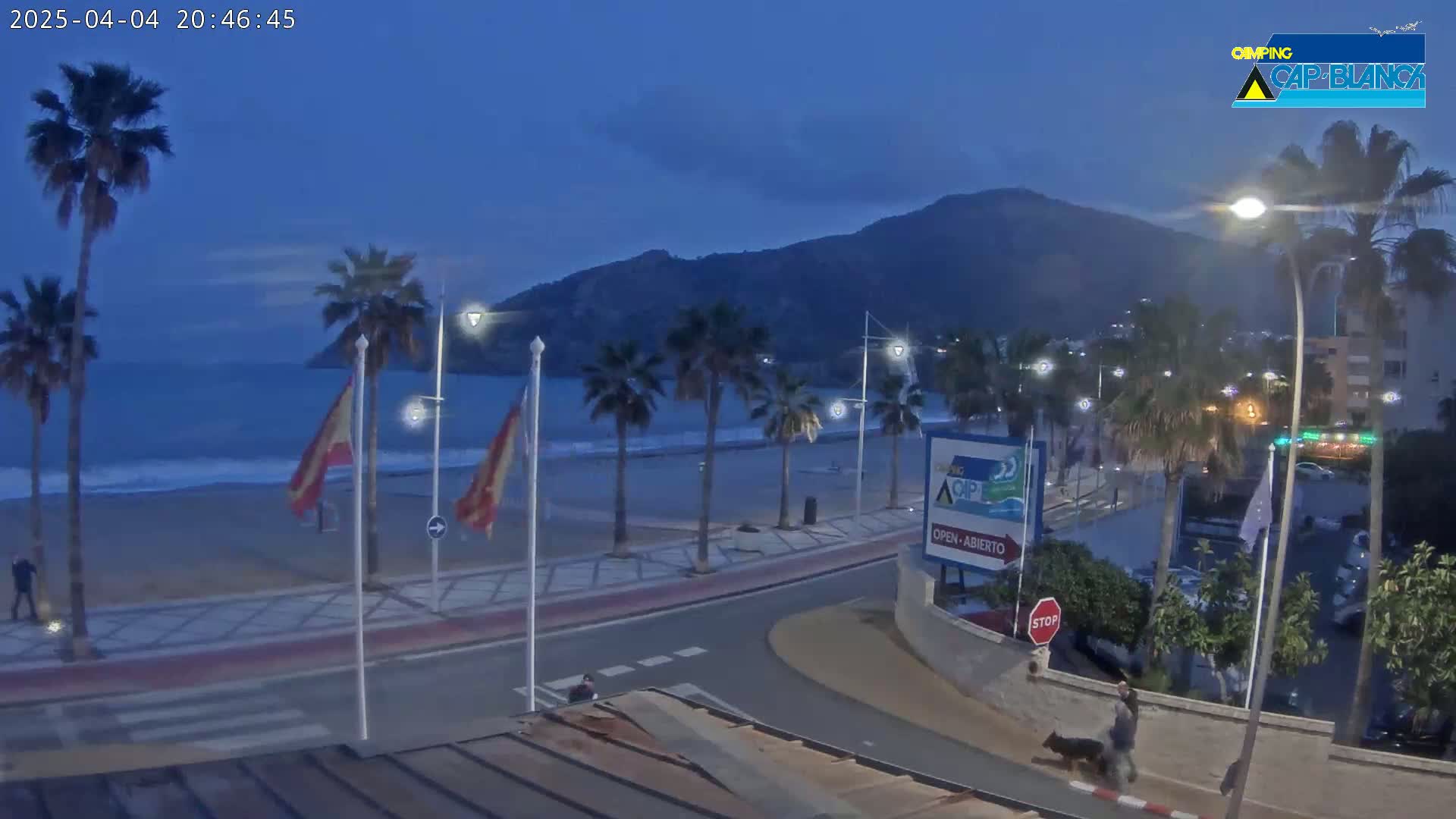 A twilight view of a beach with palm trees lining a paved walkway, under a mostly clear, dark blue sky, and mountains visible in the distance.