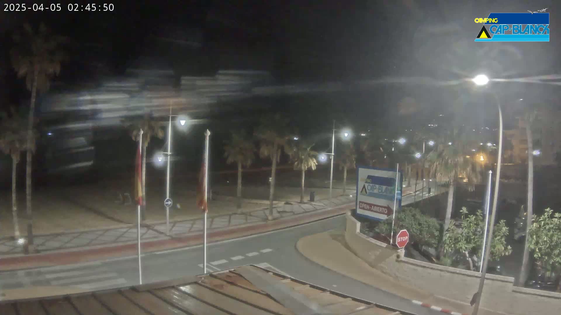A nighttime view of a palm tree-lined street curving near a beach, with blurry motion in the background suggesting wind.