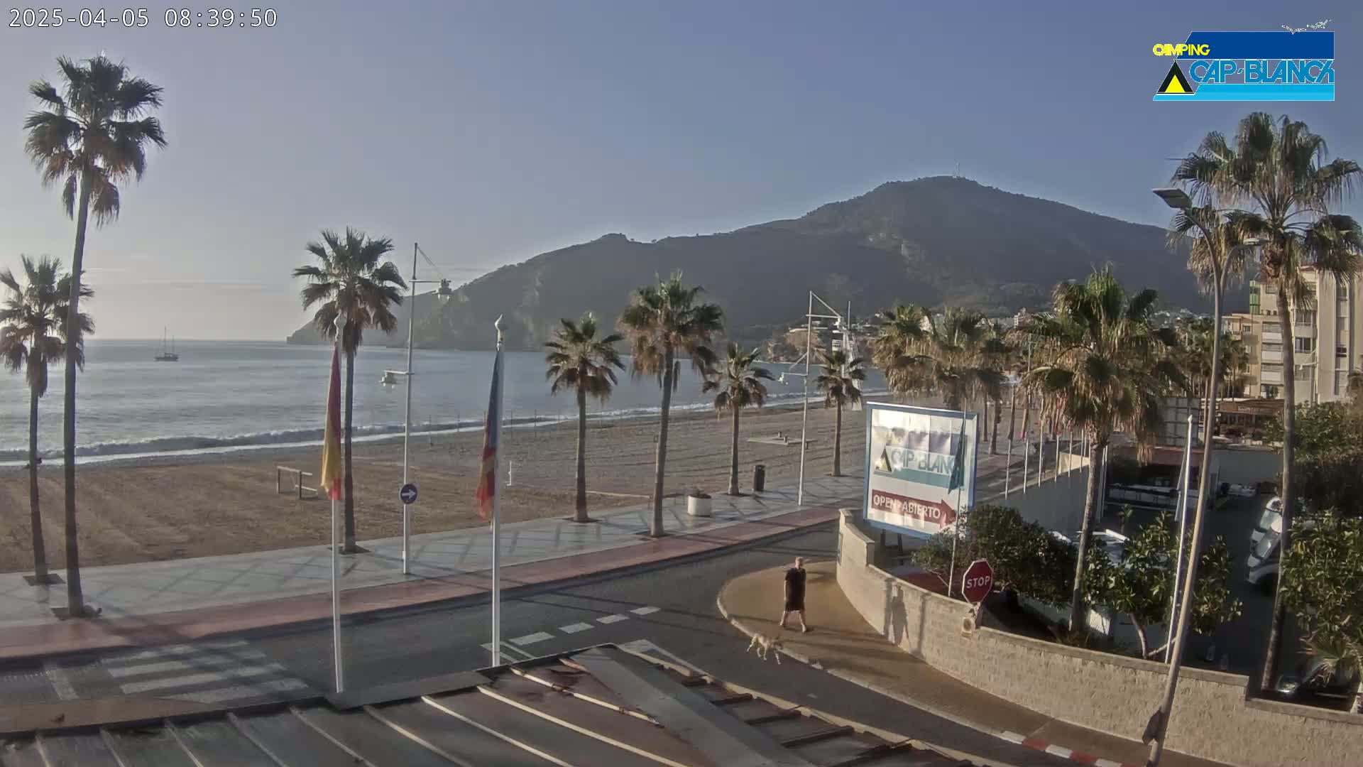 A sandy beach with palm trees lines a paved walkway next to calm ocean water under a clear, sunny sky, with a mountain visible in the background.