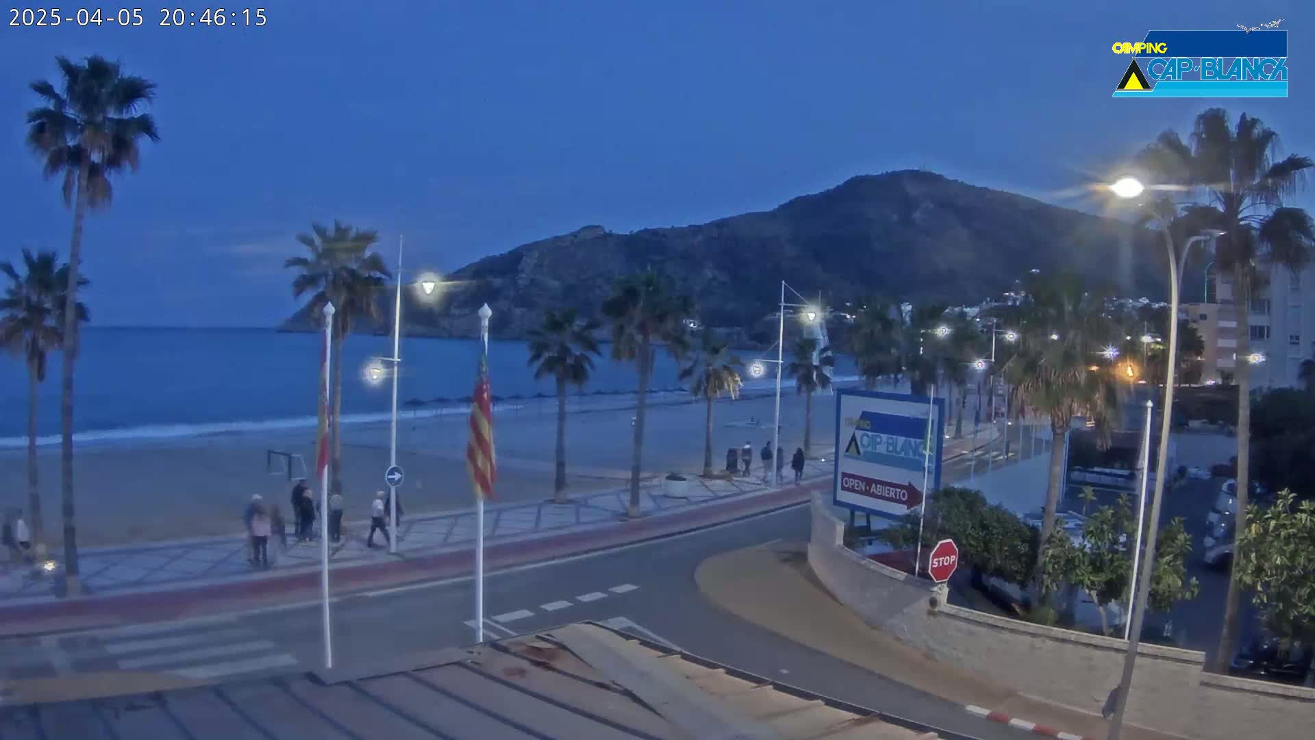 A twilight view of a sandy beach with palm trees lining a paved walkway, overlooking a calm sea and a hill under a clear, dark blue sky.