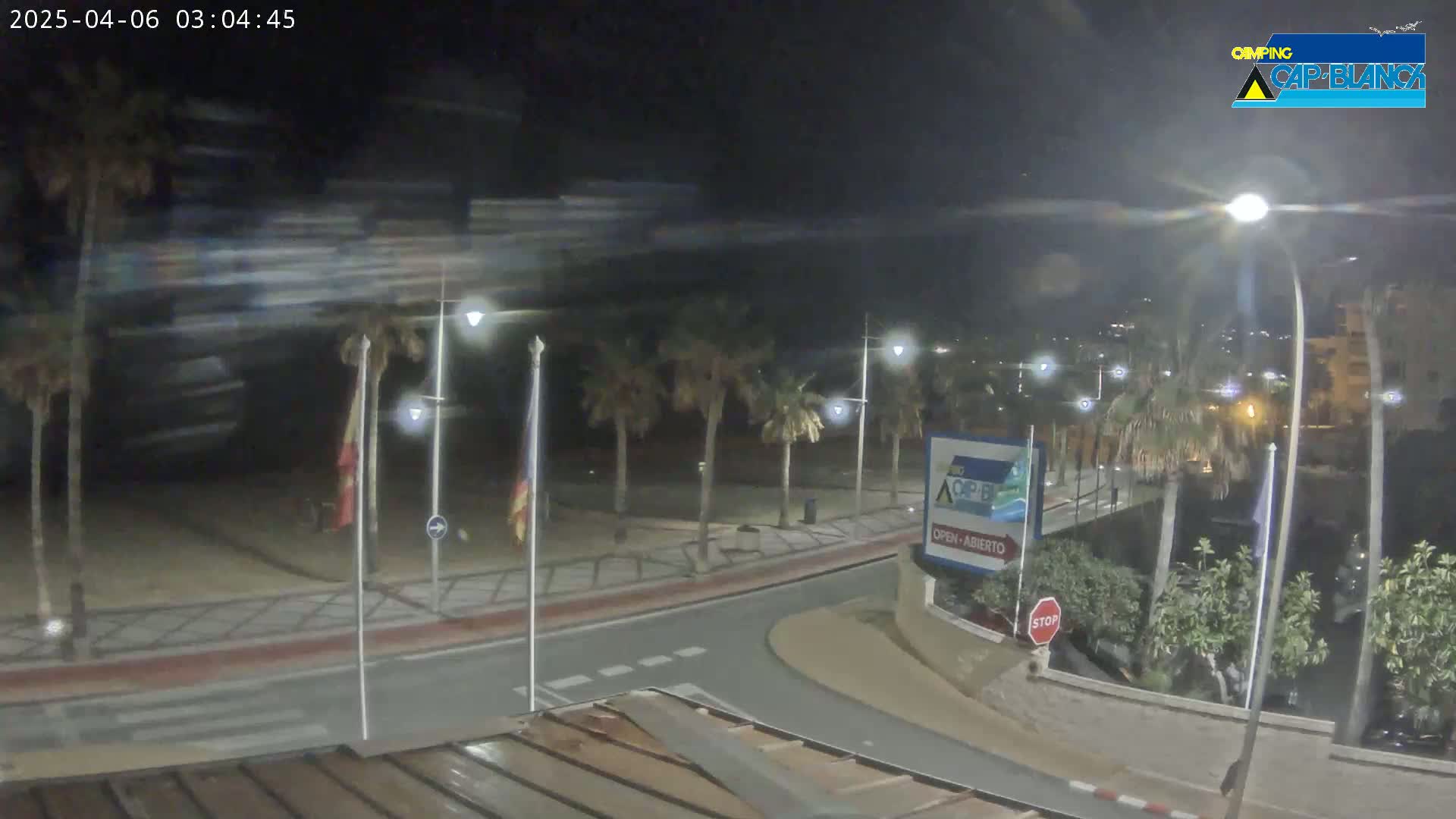 A nighttime, beachfront road scene with palm trees and streetlights under a clear sky shows some motion blur possibly from wind or cars.