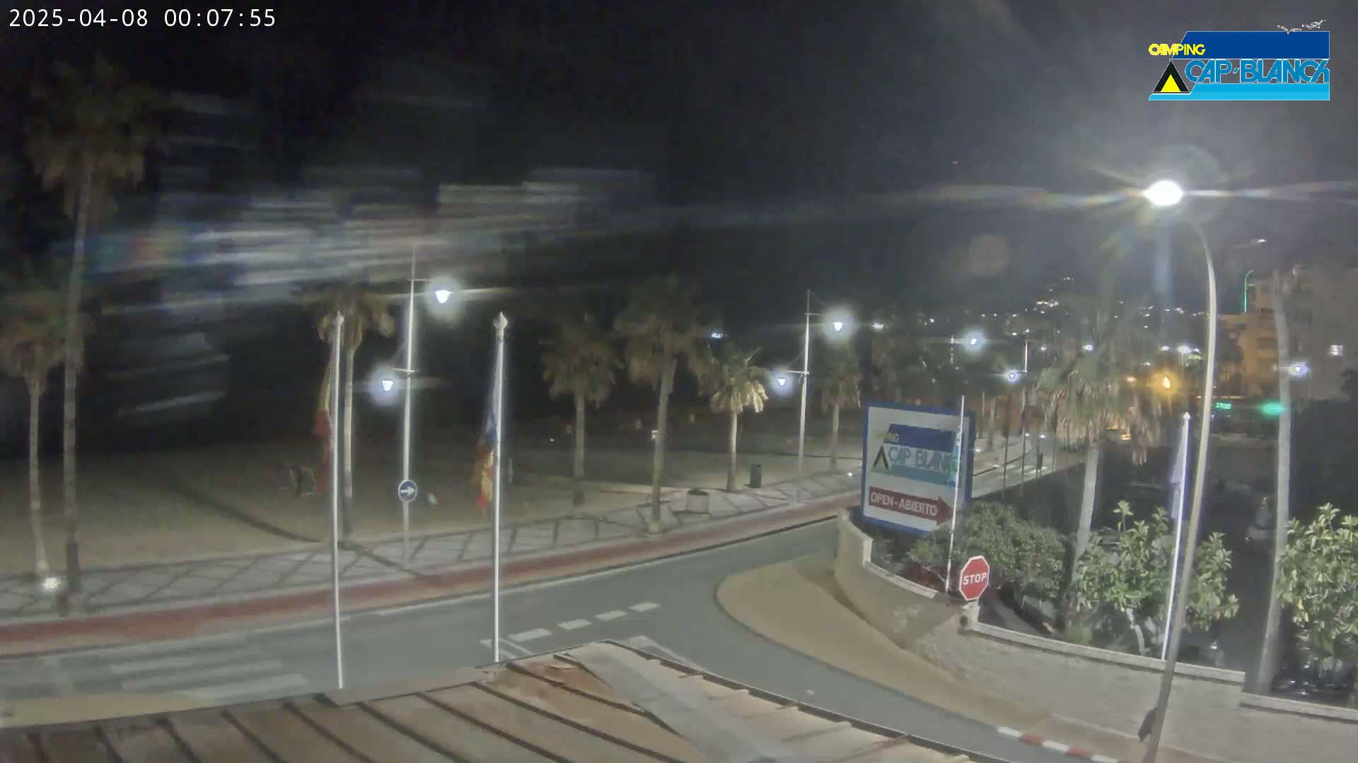 A nighttime view of a palm tree-lined street curving near a beach, with blurry motion in the sky suggesting wind.