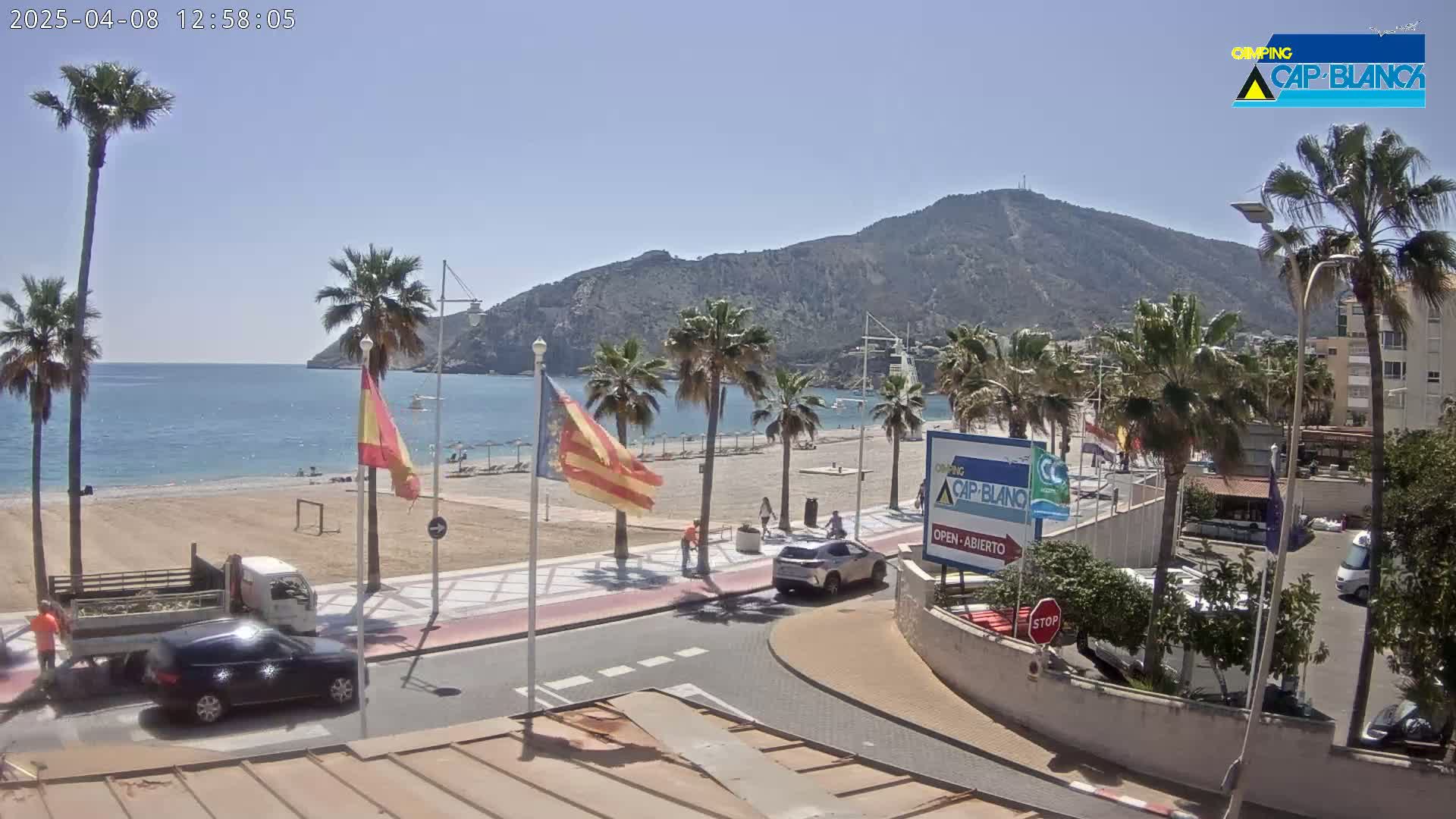 A sunny beach scene shows a sandy shore, calm ocean water, palm trees, a mountain in the background, and several cars parked near buildings.