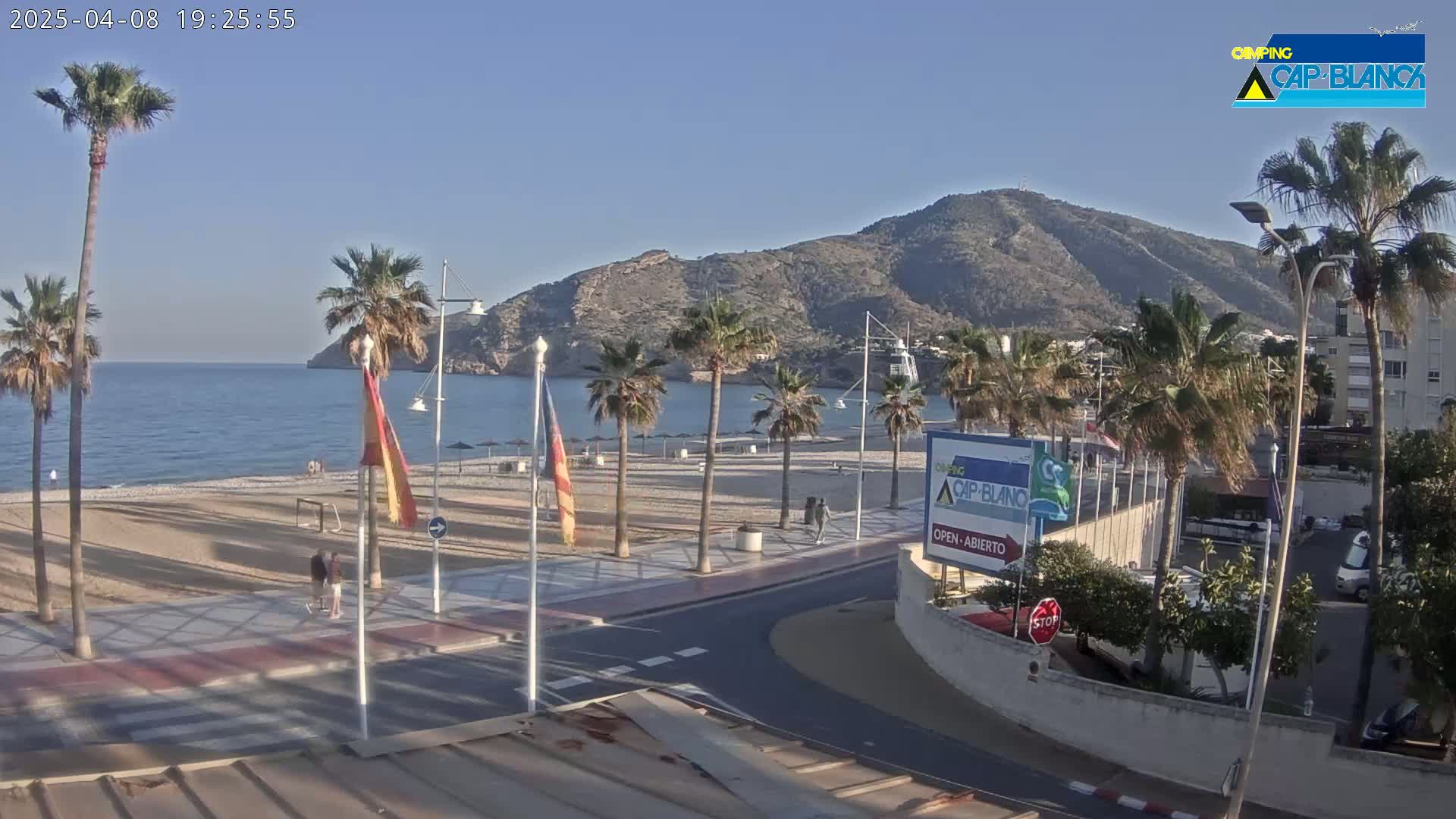 A sandy beach with palm trees and a calm ocean is situated at the foot of a large mountain under a clear, bright sky.