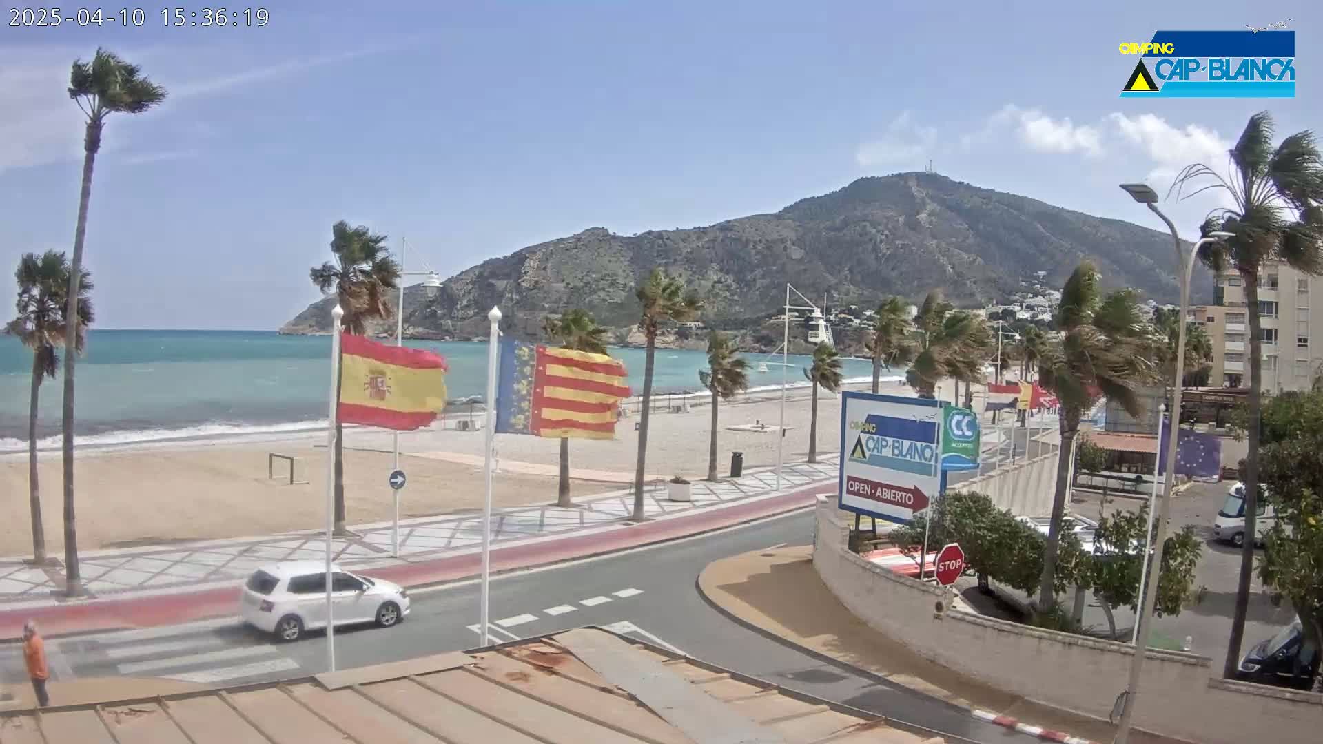 A sandy beach with palm trees and a calm ocean is visible beneath a partly cloudy sky, with a strong wind affecting the palm trees and flags.