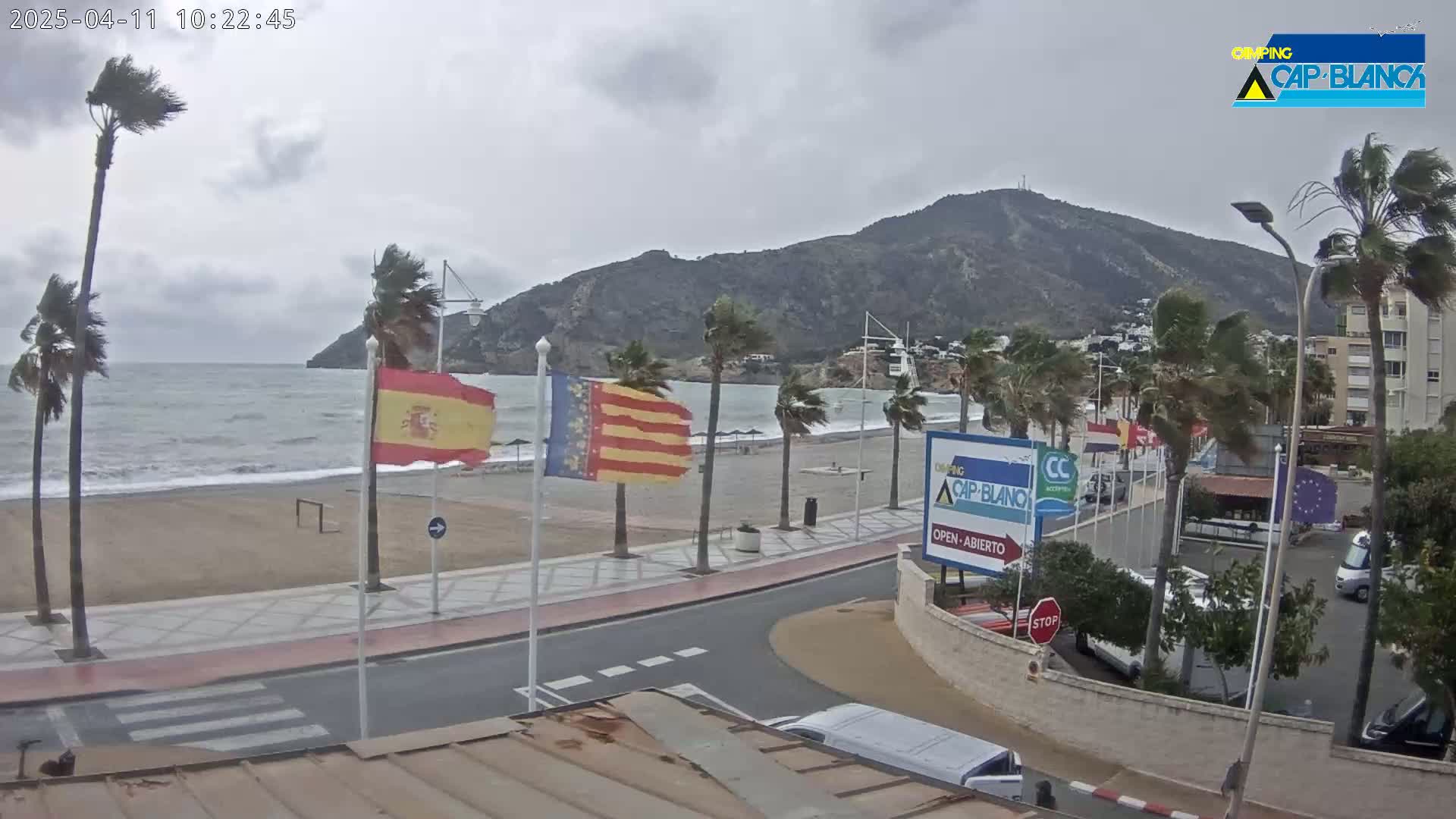 A windy, overcast day at a beachside promenade shows palm trees bending in the wind, choppy waves, and several vehicles parked nearby.