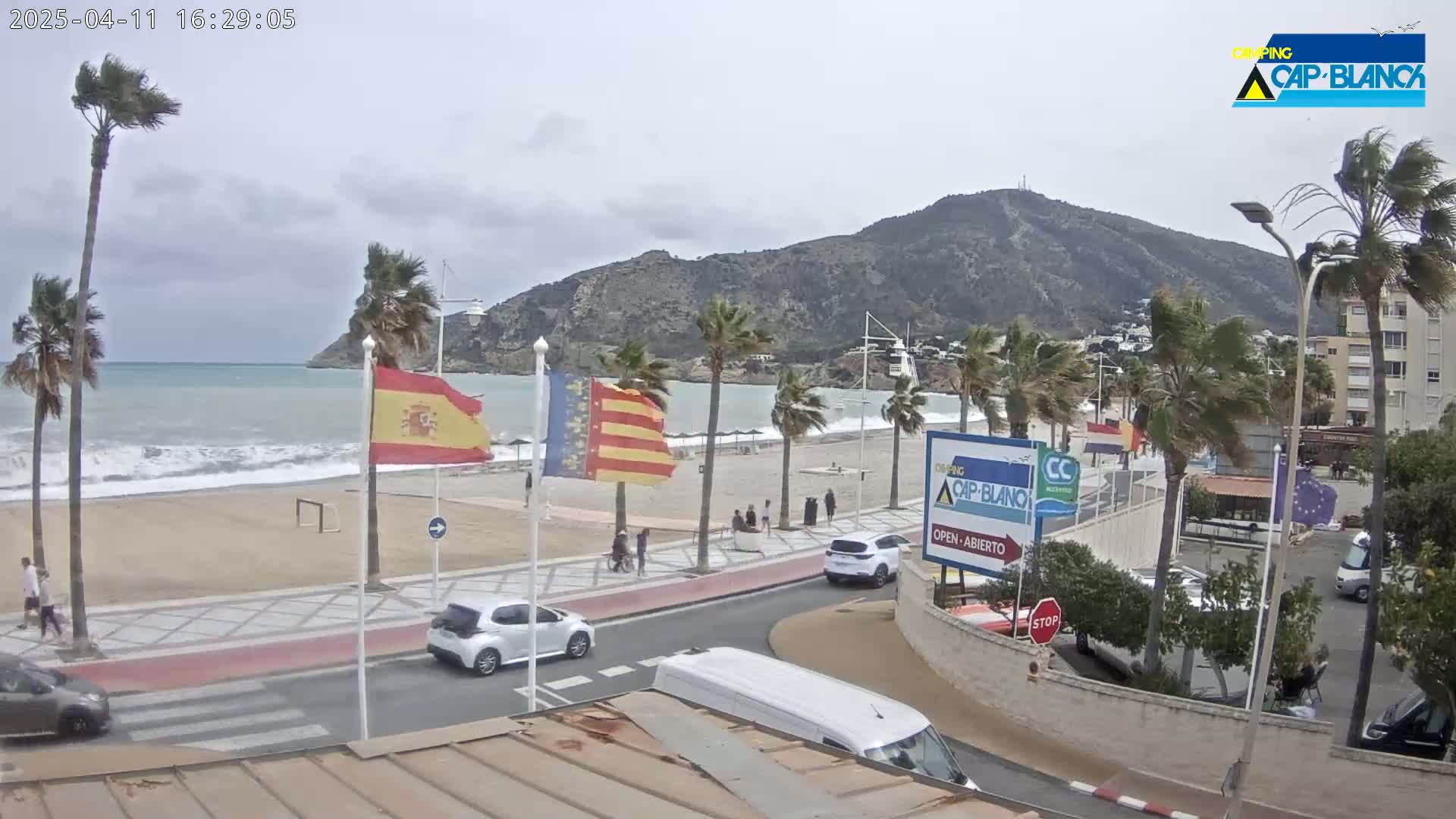 A windy coastal scene shows a beach with waves, palm trees bending in the wind, cars parked along a road, and a mountain in the background.