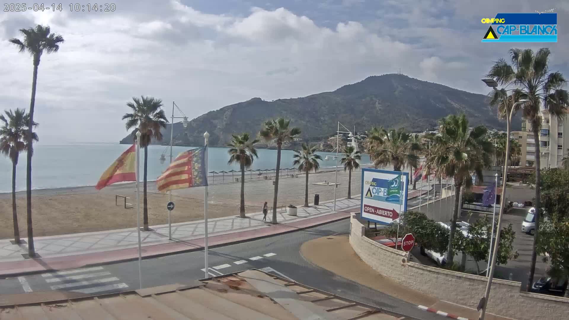 A mostly sunny beach scene shows a sandy beach, calm ocean, palm trees, and a mountain in the background.