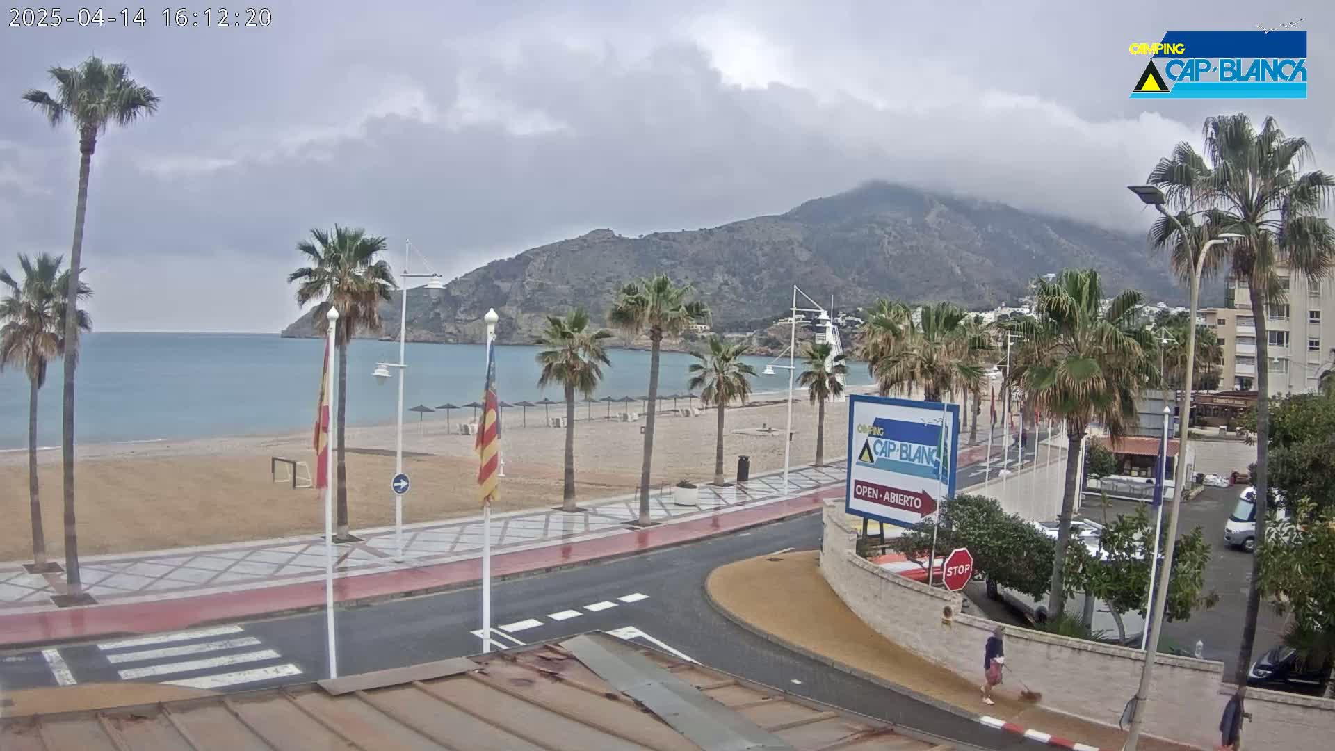 A mostly cloudy day overlooks a sandy beach lined with palm trees, a calm ocean, and a mountain in the background.