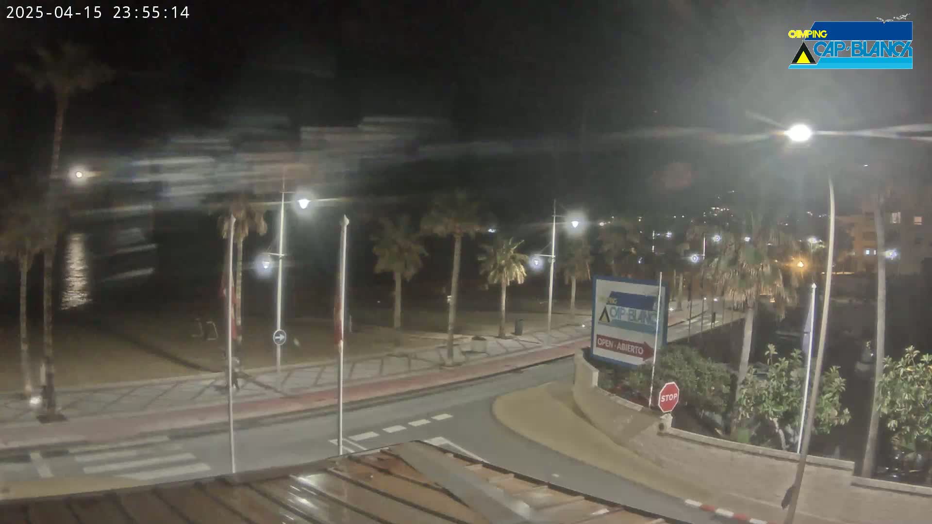 A nighttime, beachfront view shows a palm tree-lined road curving toward a calm body of water under a mostly clear sky.