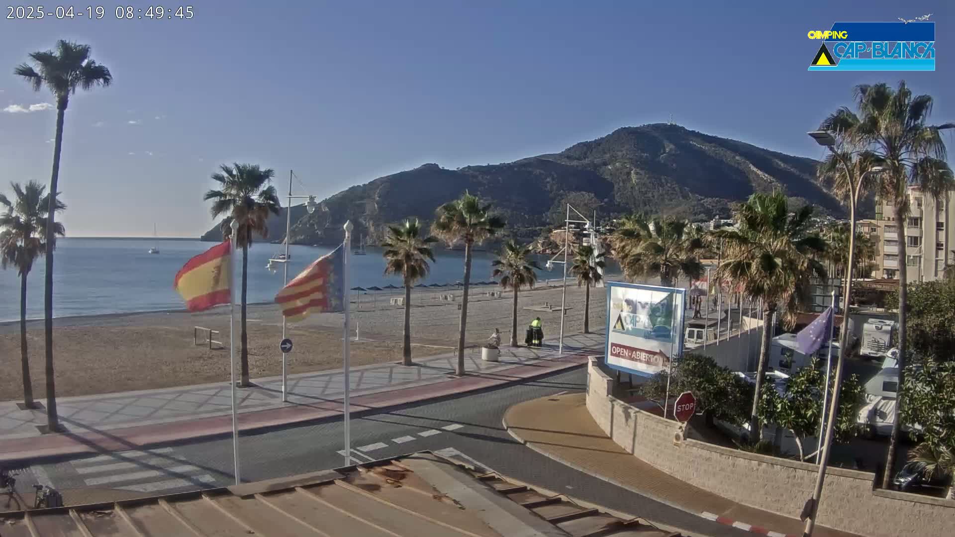 A sandy beach with palm trees lines a paved walkway next to a calm, blue ocean under a clear, sunny sky, with a mountain in the background.