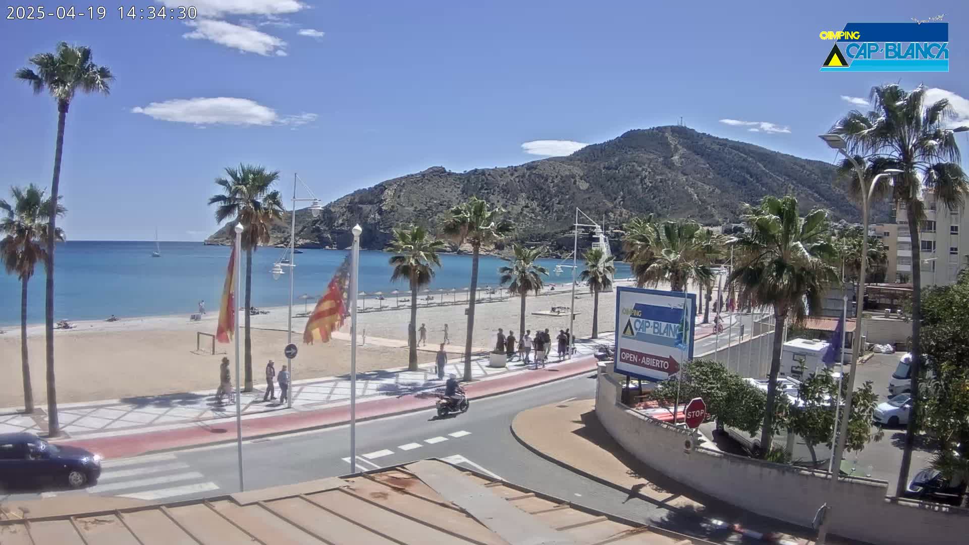 A sandy beach with palm trees and turquoise water is backed by a mountain under a mostly sunny sky.