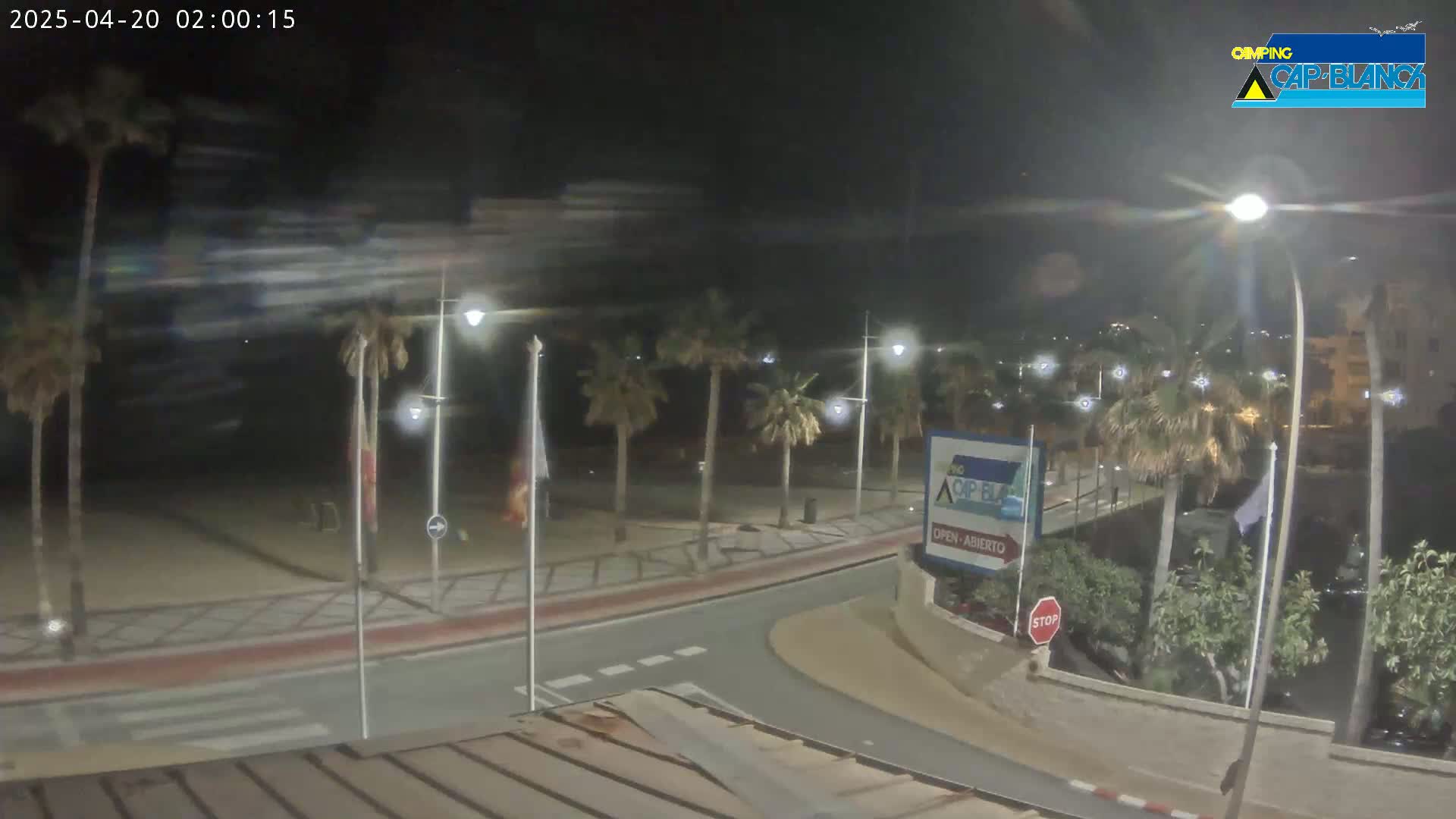 A nighttime, windy scene shows a palm-tree-lined road curving near a beach, with streetlights illuminating the area.