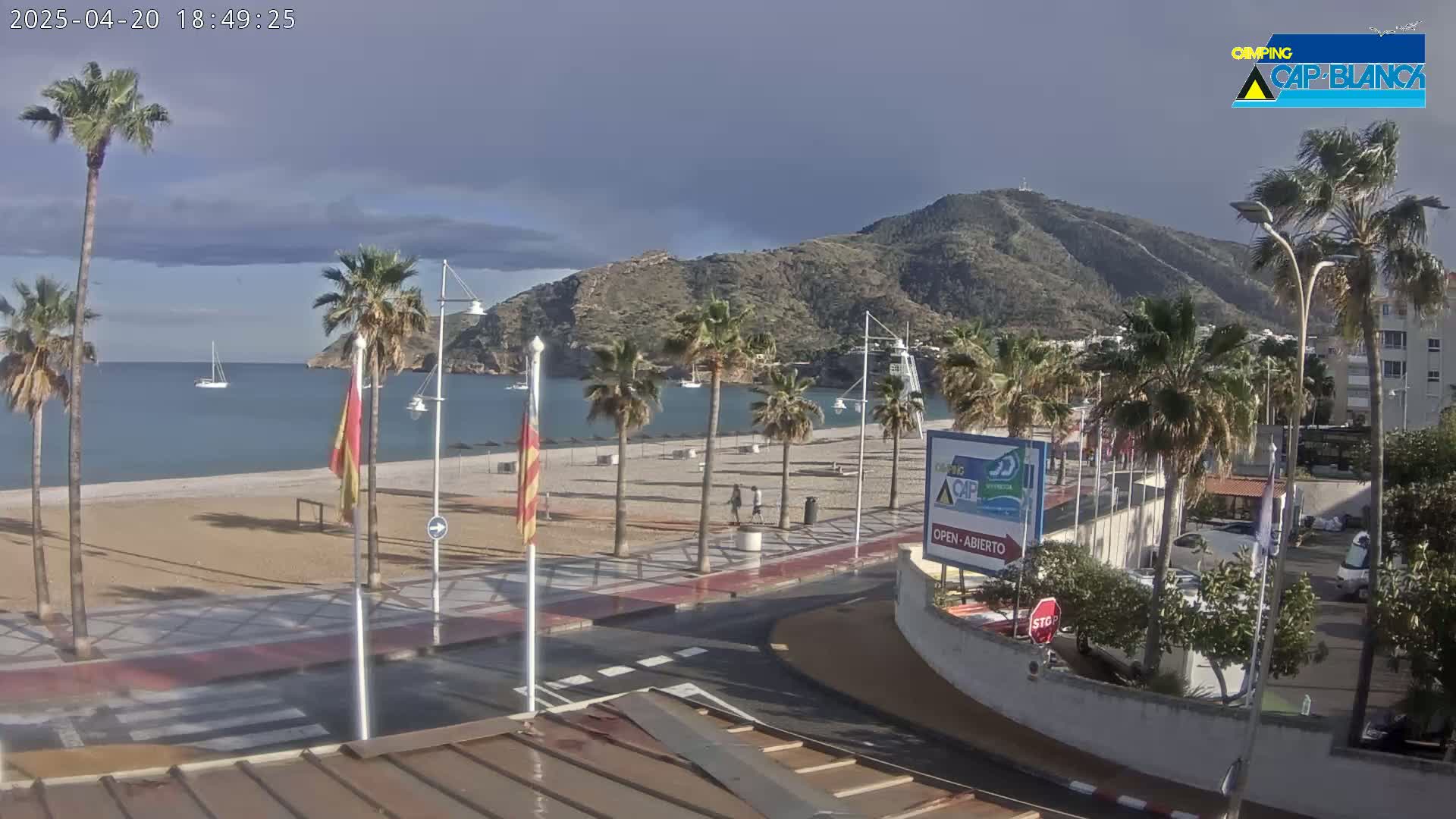 A sandy beach with palm trees and a calm ocean stretches beneath a partly cloudy sky and a mountain backdrop.