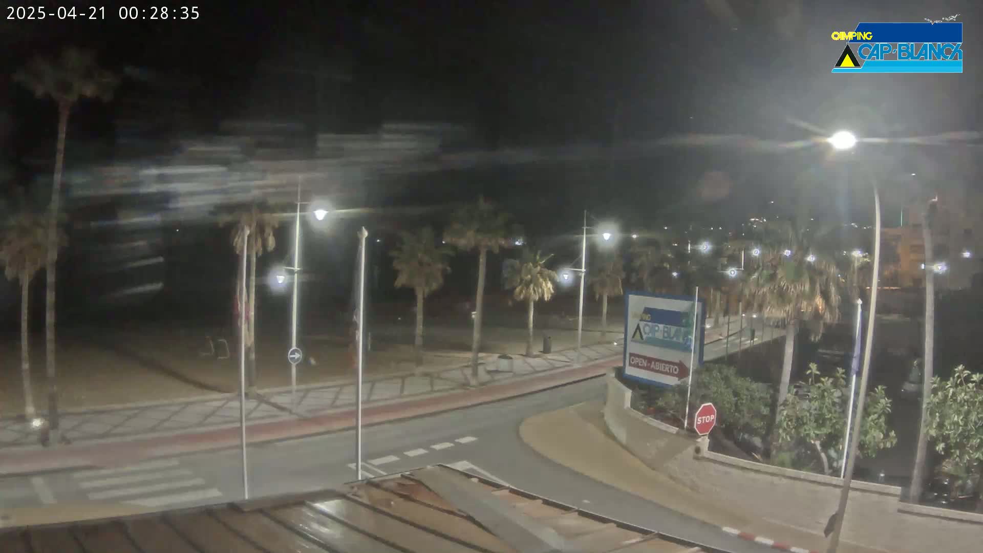 A nighttime, windy scene shows a palm tree-lined street leading to a beach, with streetlights illuminating the area.
