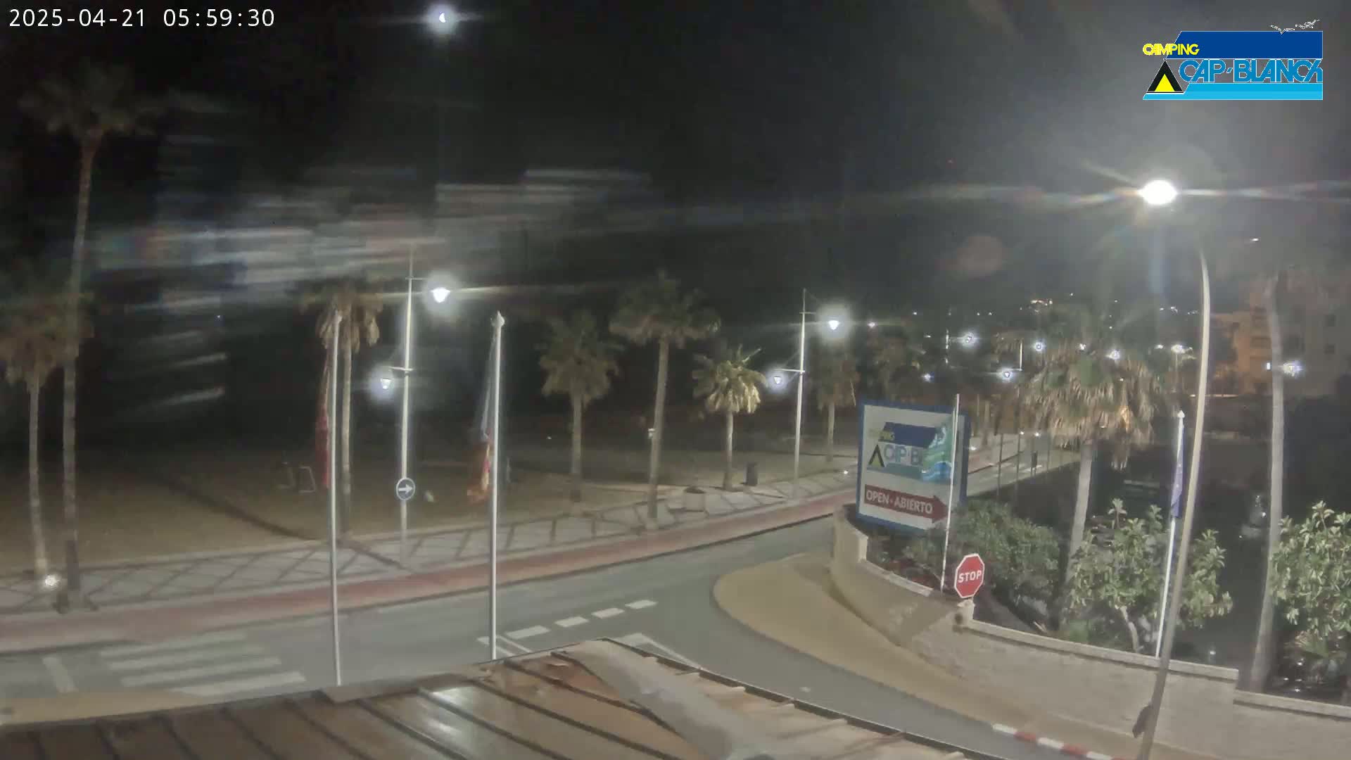 A nighttime view of a palm tree-lined roadway curving toward a beach, with streetlights illuminating the scene under a clear, dark sky.