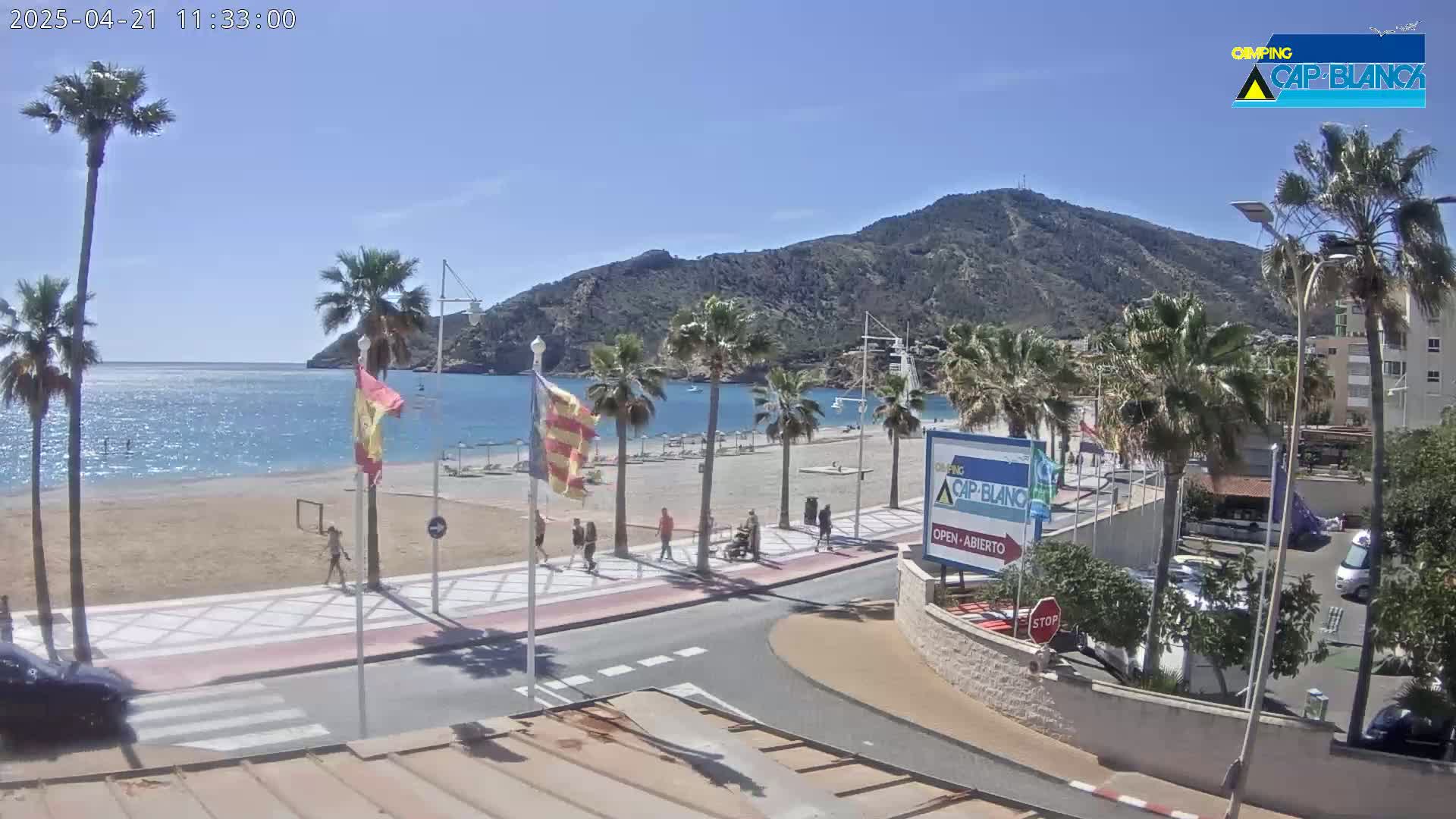 A sunny day at a beach with palm trees lining a sandy shore and a mountain in the background.
