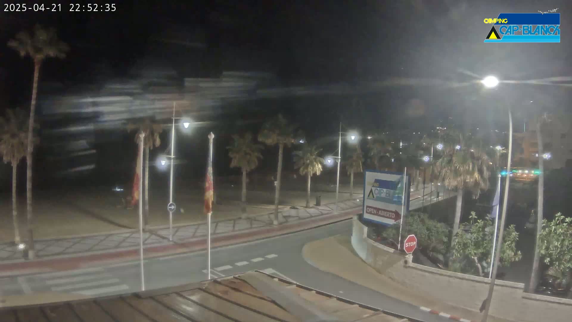 A nighttime view of a palm tree-lined street curving near a beach, with a slight wind blowing.