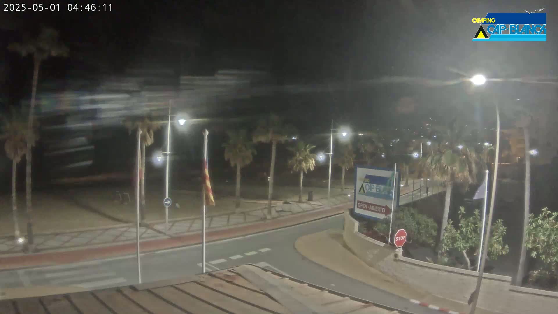 A nighttime, windy scene shows a palm-tree lined road curving toward a beachfront, with streetlights illuminating the area.