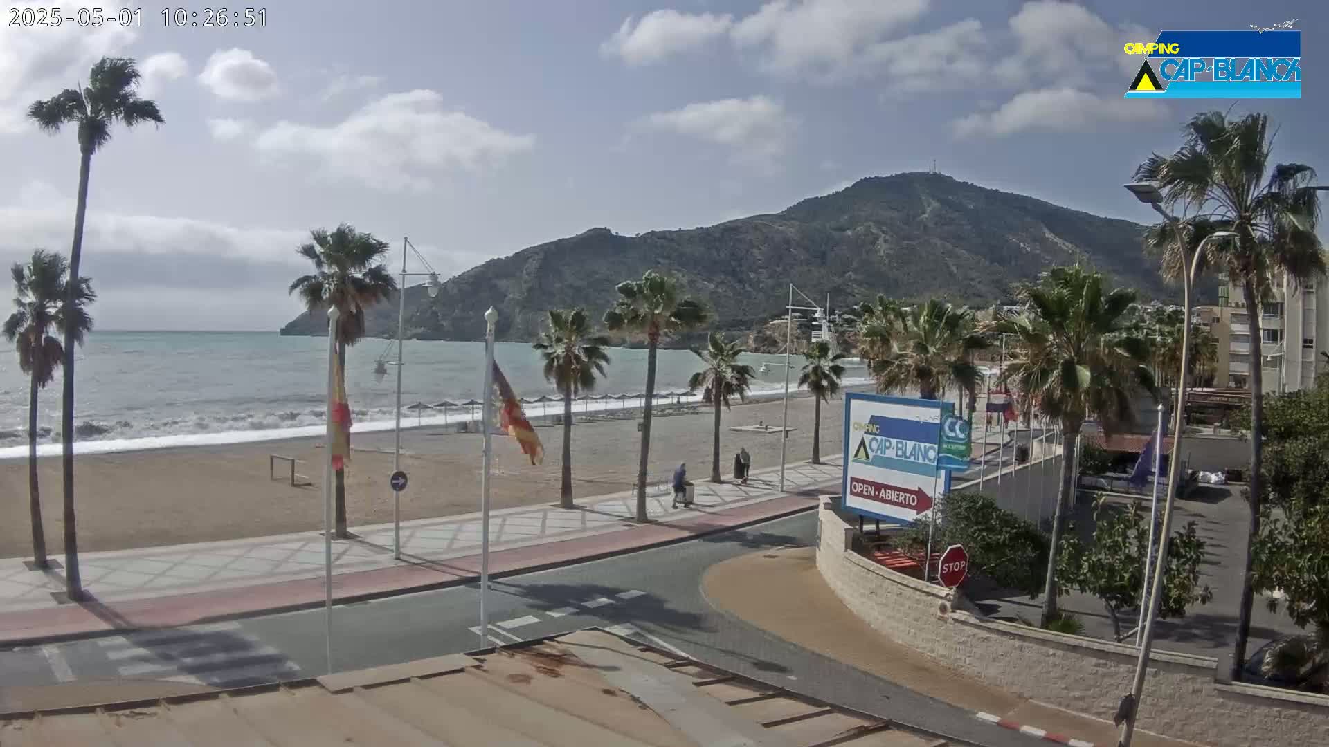 A beach with palm trees and a mountain in the background under a partly cloudy sky, with moderate waves crashing on the shore.