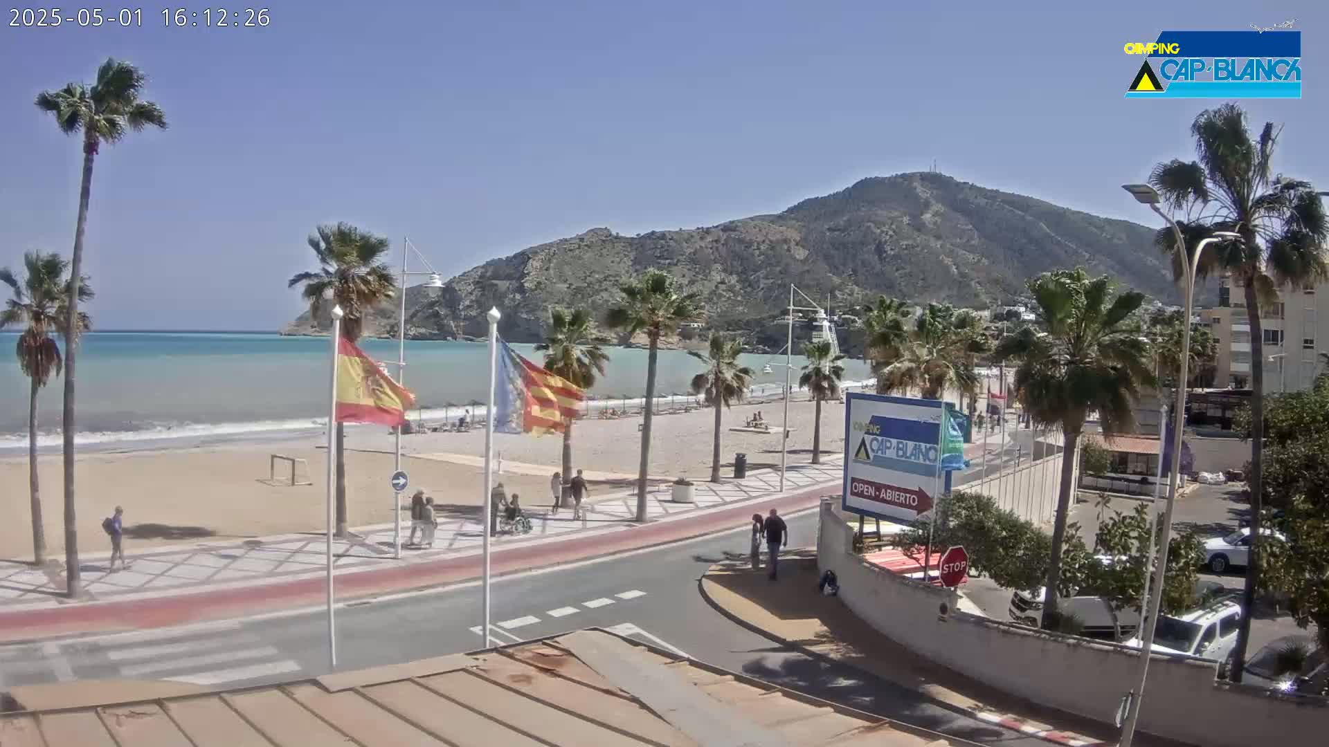 A sandy beach with calm blue water is overlooked by palm trees and a mountain, all under a sunny sky.