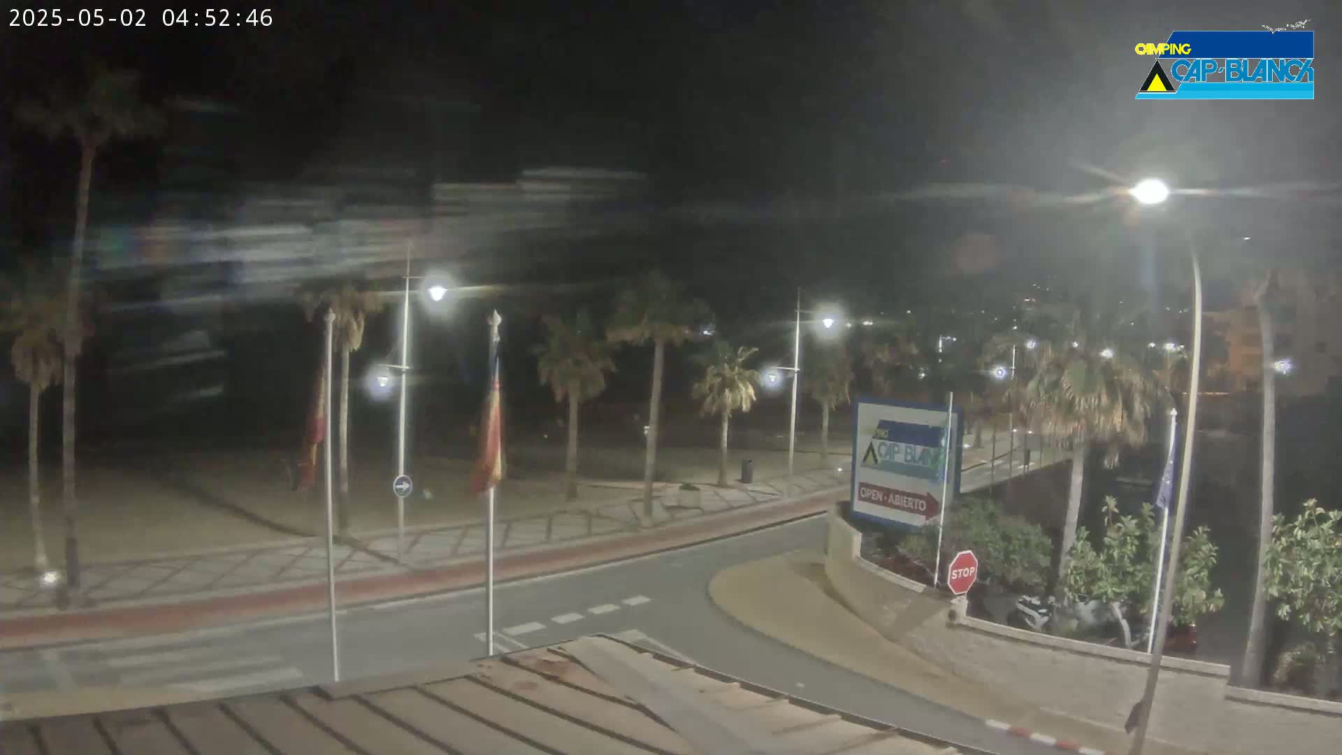 A nighttime view of a palm-lined road curving near a beach, under a dark sky.