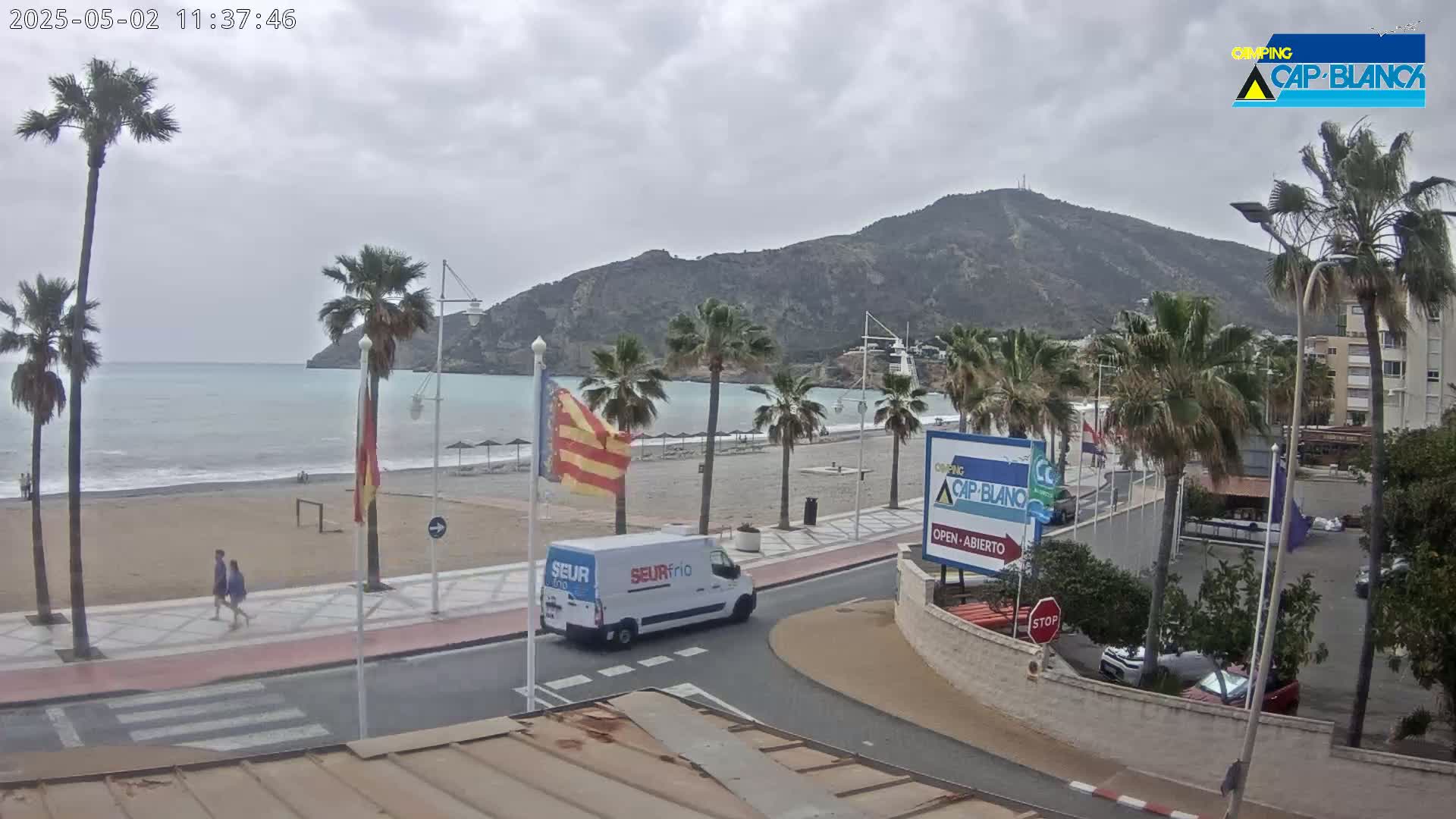 A sandy beach with palm trees and a calm sea is under an overcast sky, with a white van driving along a road next to it.
