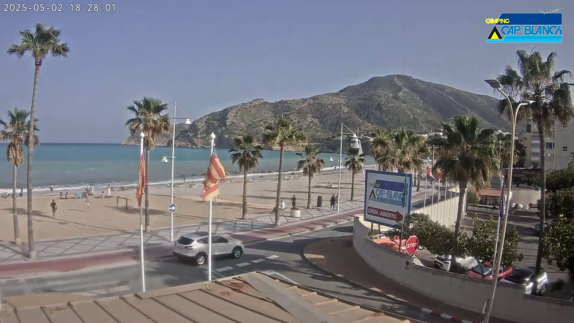 A sunny beach scene shows a sandy beach with palm trees lining a promenade next to a calm, turquoise ocean, with a mountain in the background.