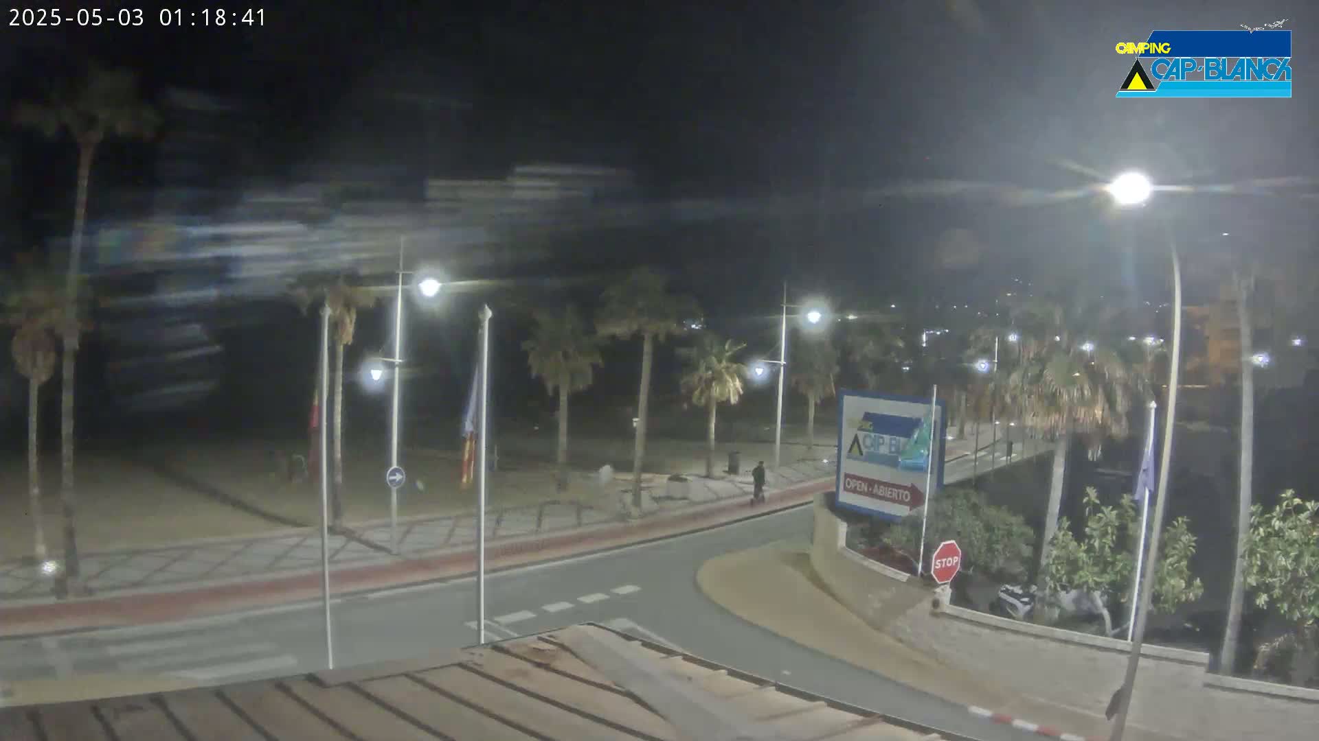 A nighttime view of a palm tree-lined beachfront promenade, with streetlights illuminating a mostly empty roadway and a sandy beach beyond.