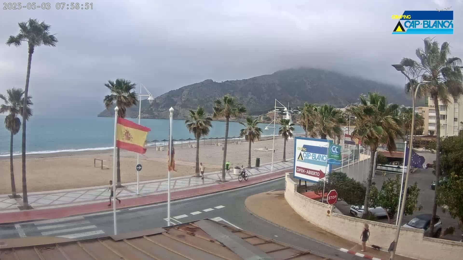 A mostly cloudy day overlooks a sandy beach with palm trees, a calm sea, and mountains in the background.
