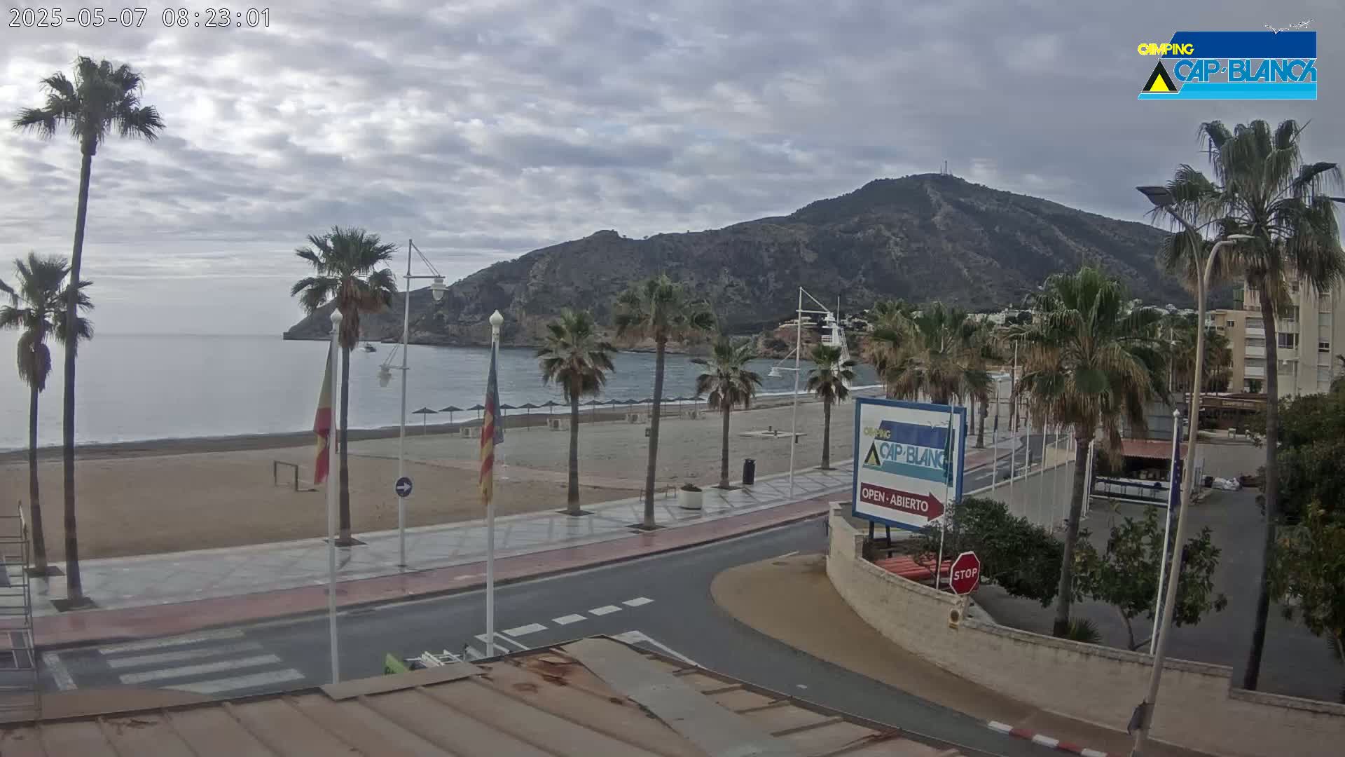 A sandy beach with palm trees and a calm sea is situated below a large hill under a mostly cloudy sky.