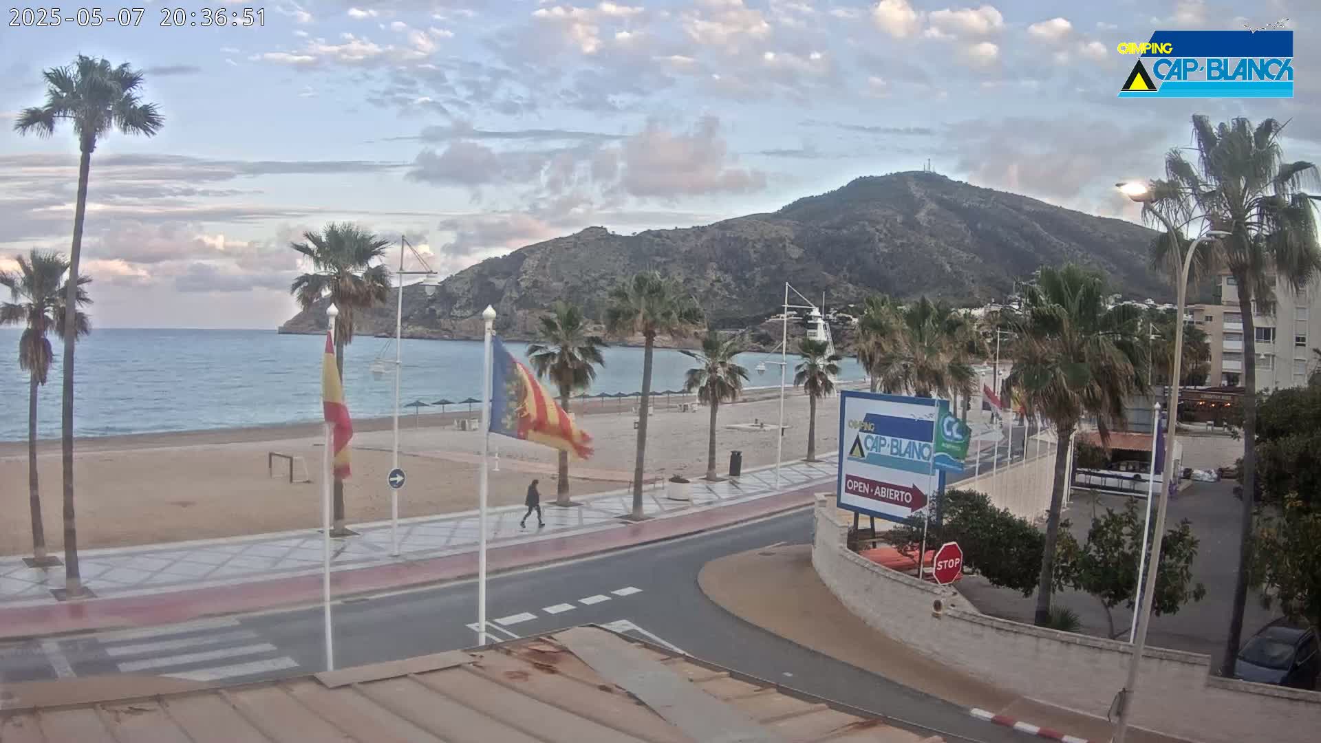 A mostly sunny day at a beach with palm trees, a sandy shore, and a large hill in the background.