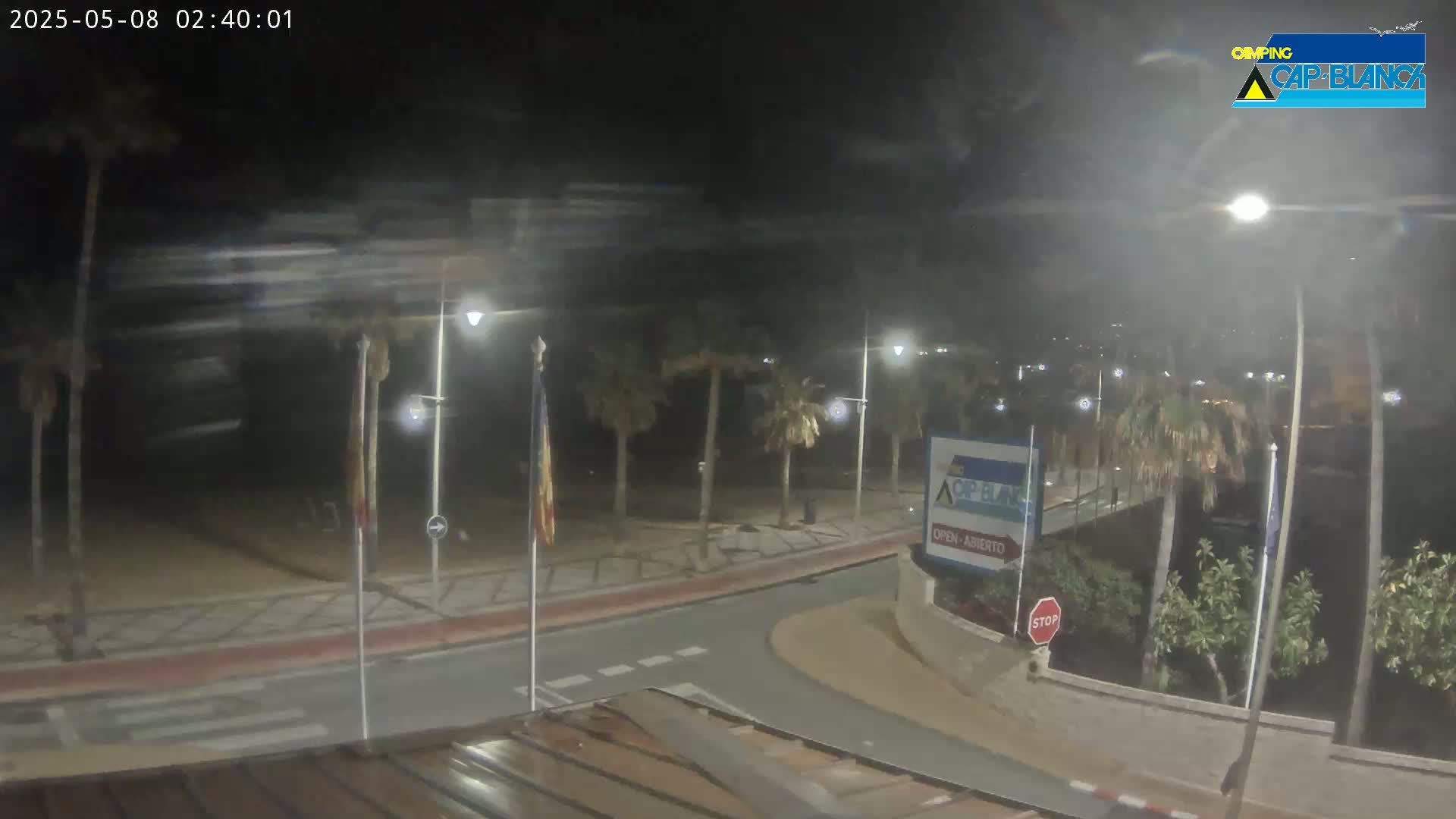 A nighttime, windy scene shows a palm tree-lined street curving toward a beach, with streetlights illuminating the area.