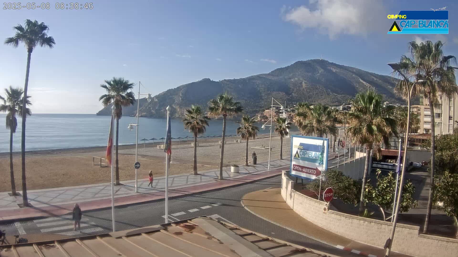 A mostly sunny beach scene shows a sandy beach, palm trees, a calm ocean, and a mountain in the background.