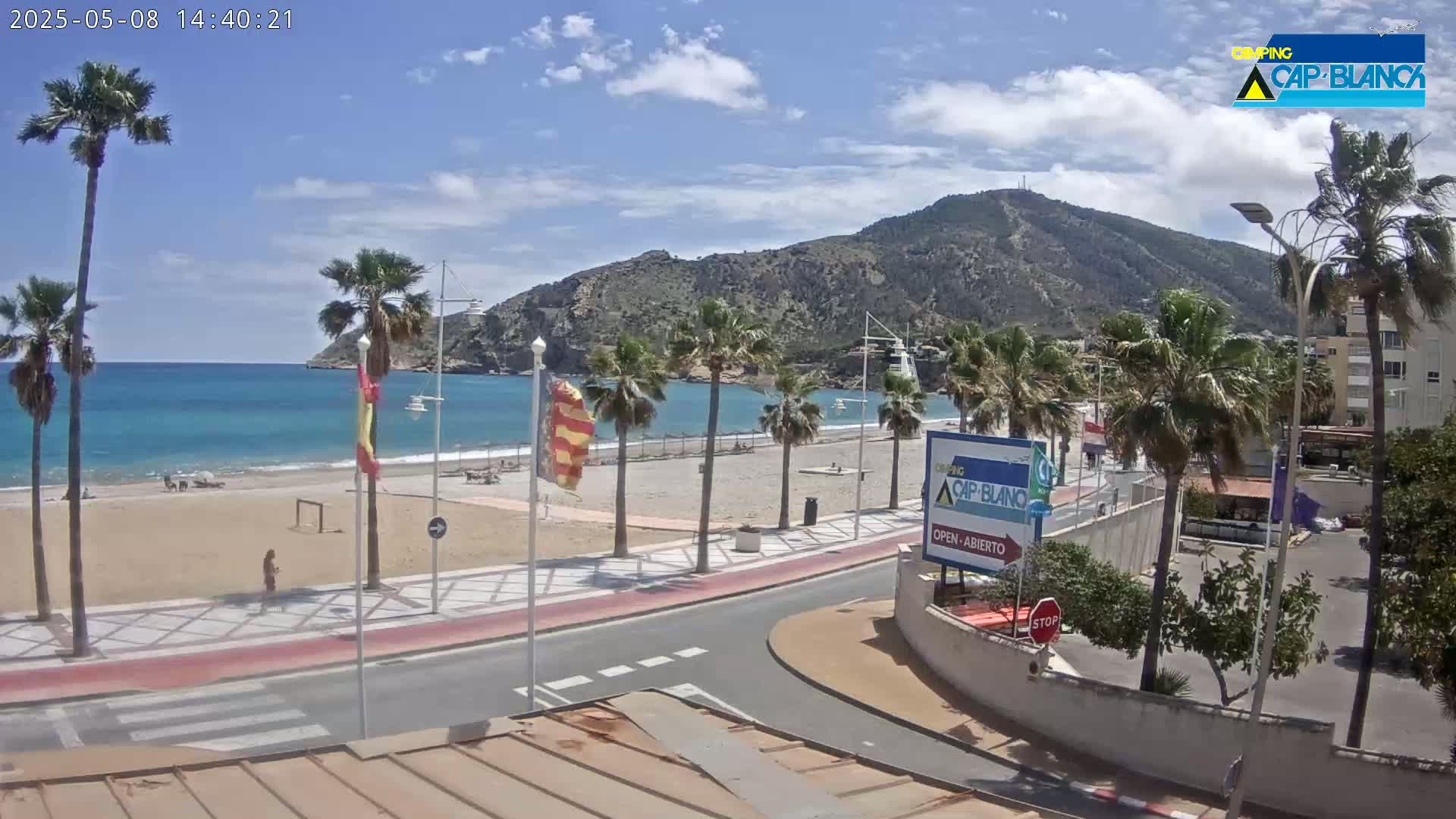 A sandy beach with palm trees, a calm blue sea, and a mountainous backdrop under a partly cloudy sky.