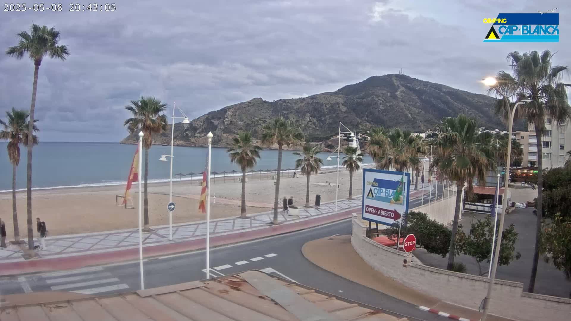 A sandy beach with palm trees and a calm ocean is seen under a cloudy sky, with a mountain in the background and a road leading to a parking area.