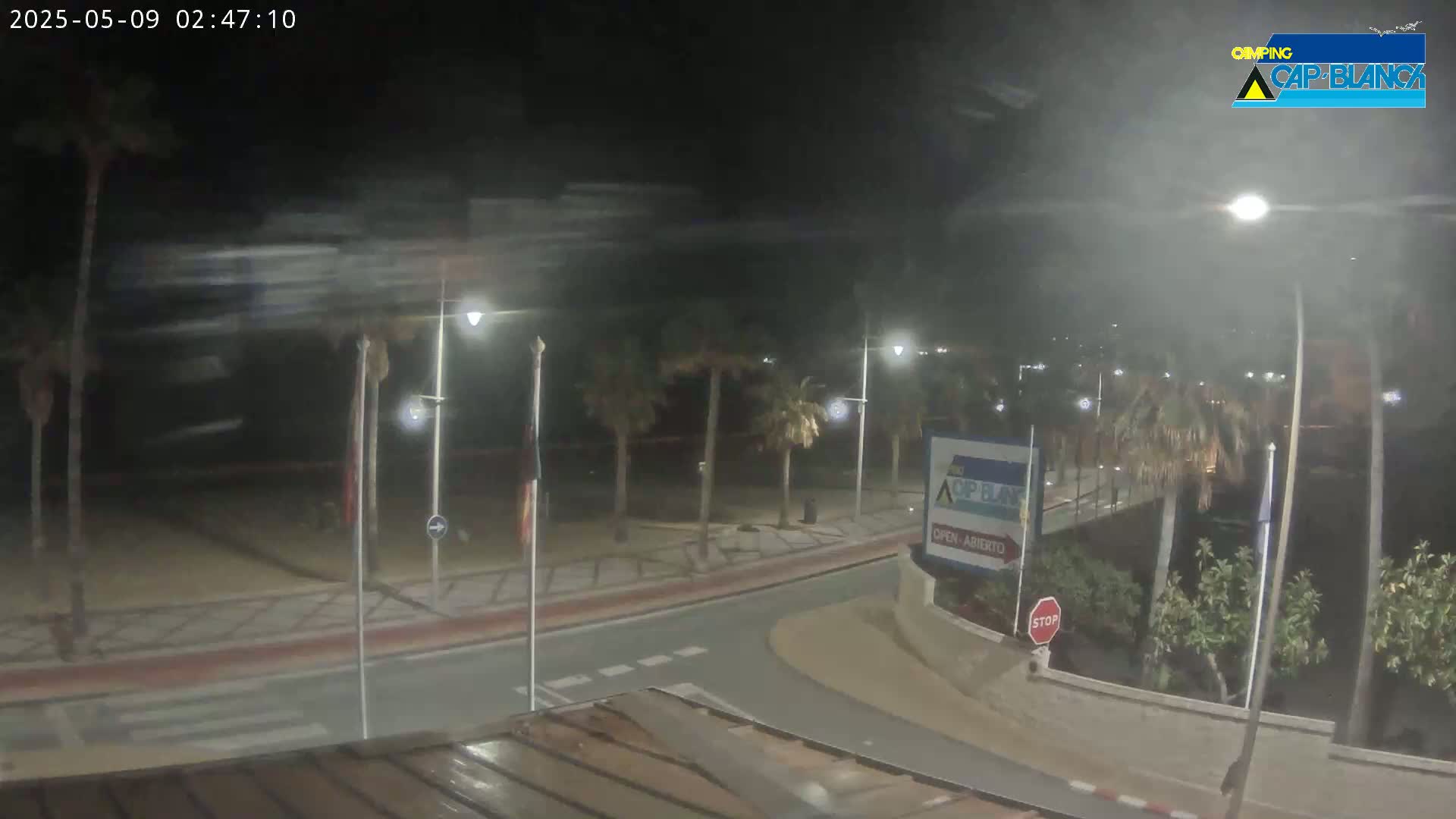 A nighttime, windy scene shows a palm-tree lined roadway curving toward a beach, illuminated by streetlights.
