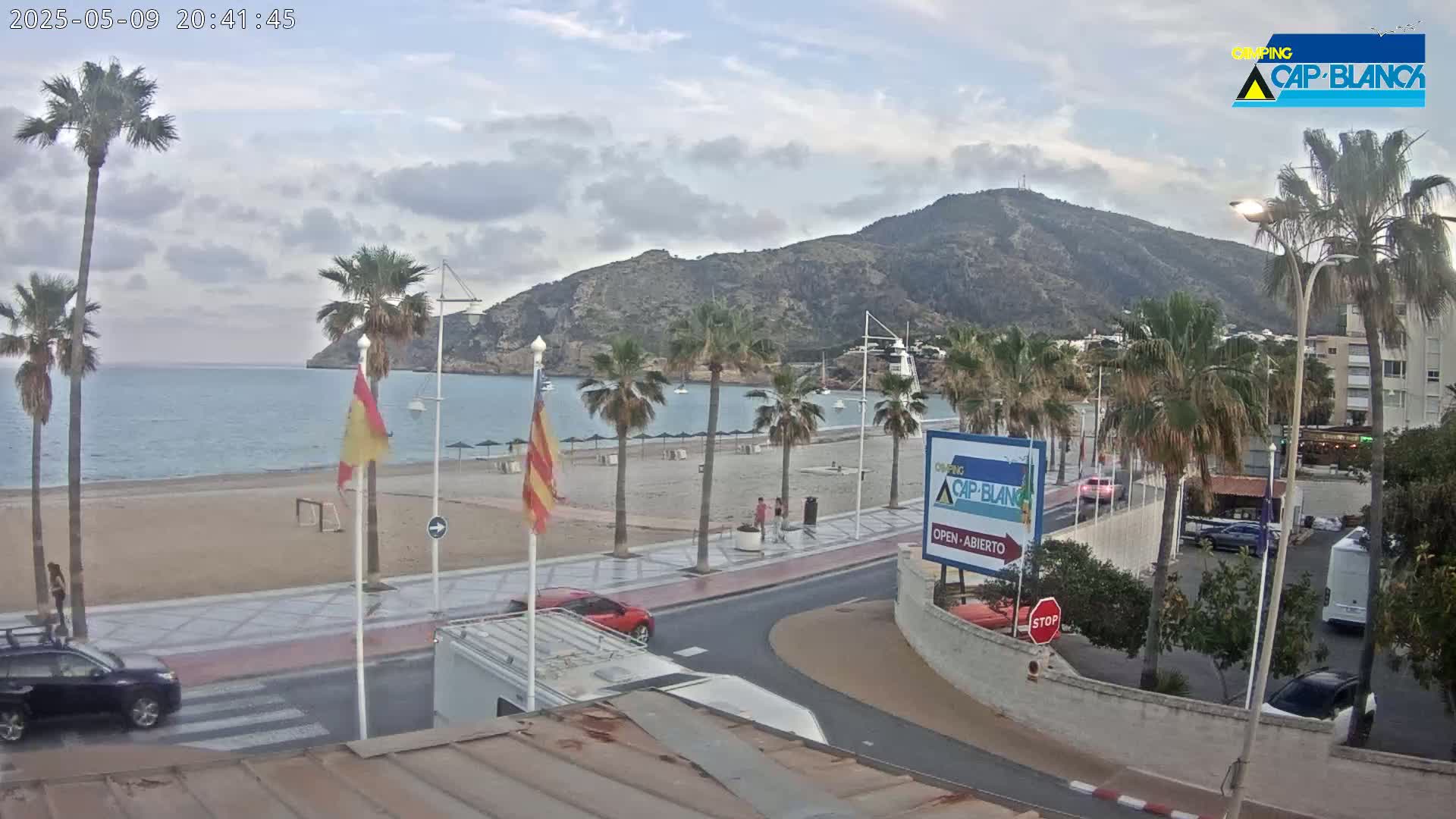 A sandy beach with palm trees and calm ocean water is visible below a hill, under an overcast sky.