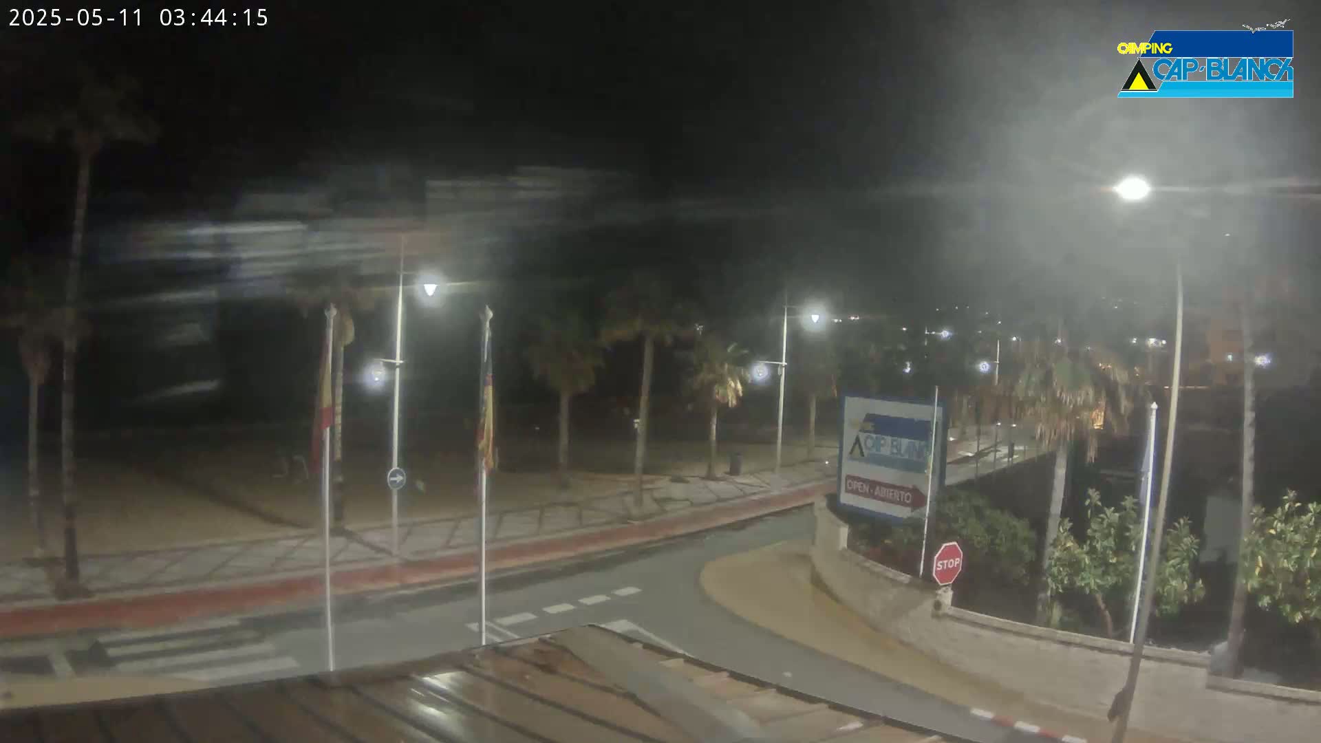 A nighttime street scene shows palm trees lining a road that curves toward a beach under hazy, windy conditions.