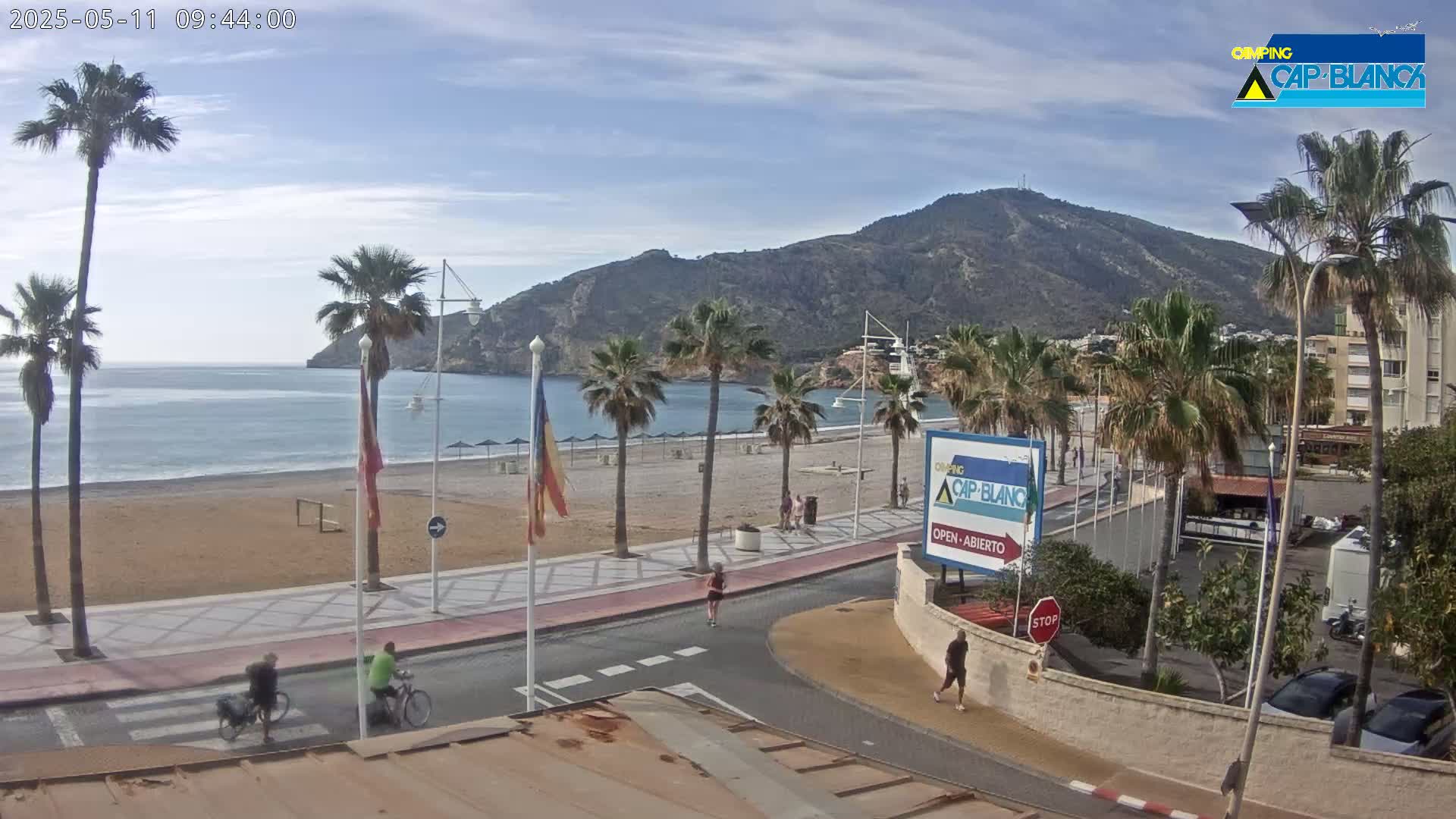 A sandy beach with palm trees lines a paved walkway, with a calm ocean and a large hill in the background under a mostly clear sky.
