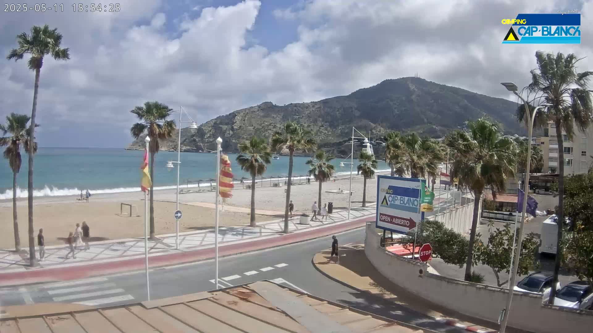 A sandy beach with palm trees and a calm sea is nestled beneath a mountain under partly cloudy skies.