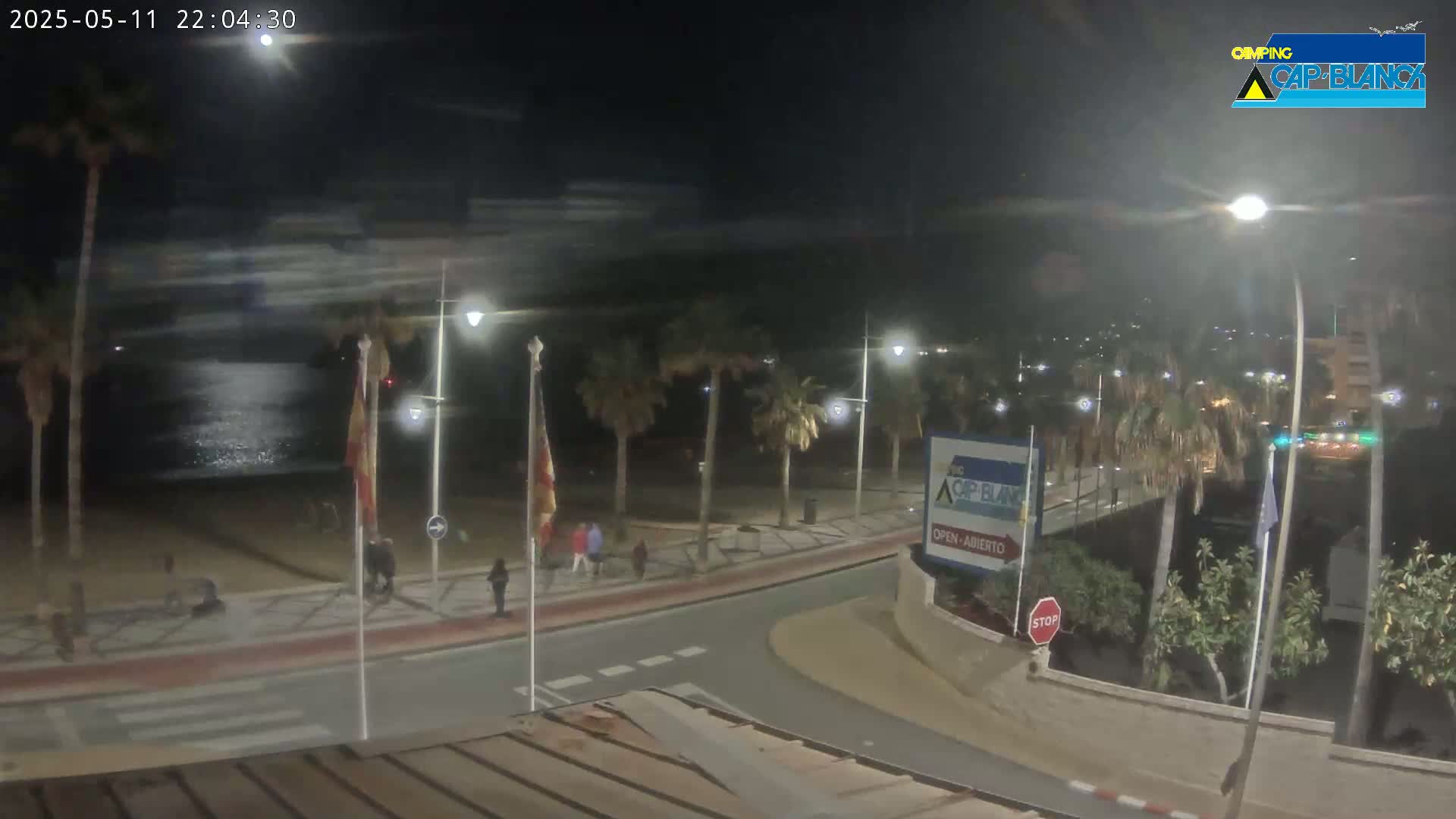 A nighttime, seaside promenade with palm trees, streetlights, and a few pedestrians under a mostly clear sky.